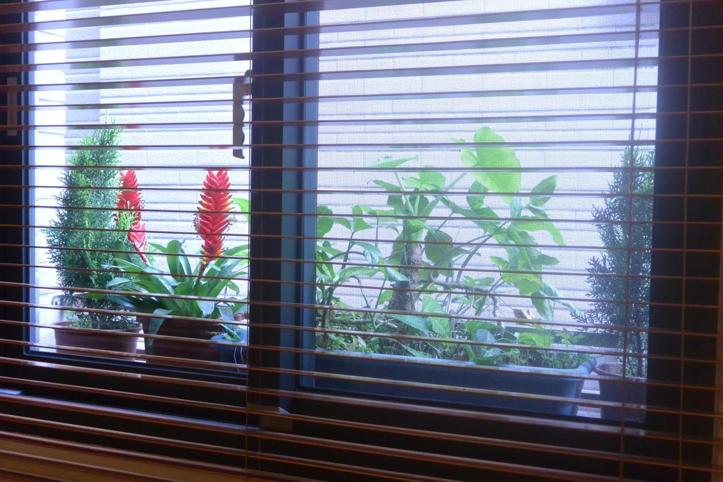 View (from property/room) in Jiaoxi Song Tian B&B