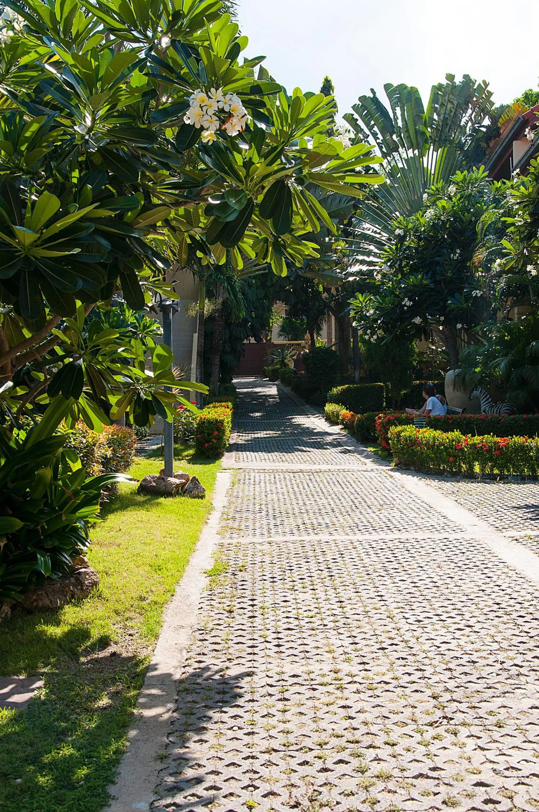 Area and facilities in Samui Green Life