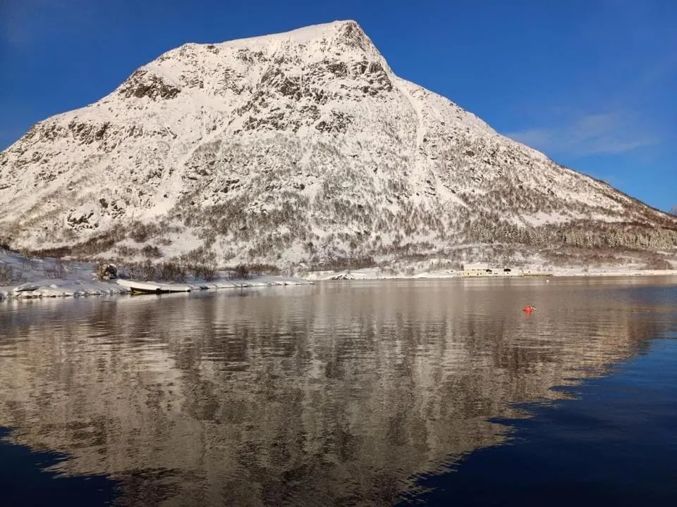 Hammerstad Camping
