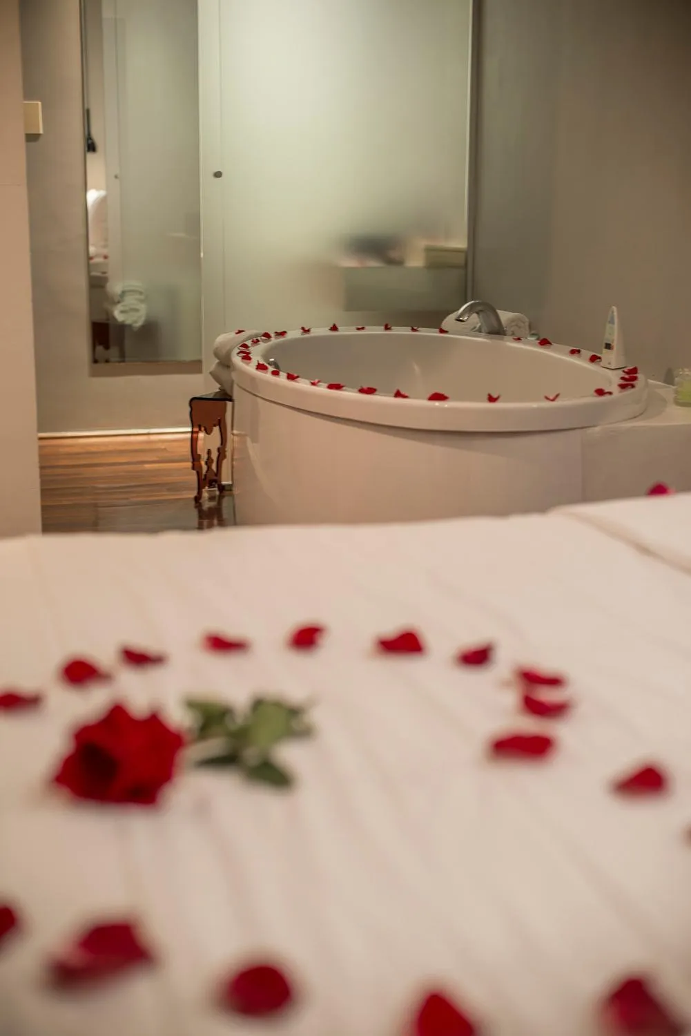 Bed in Zank by Toque Hotel