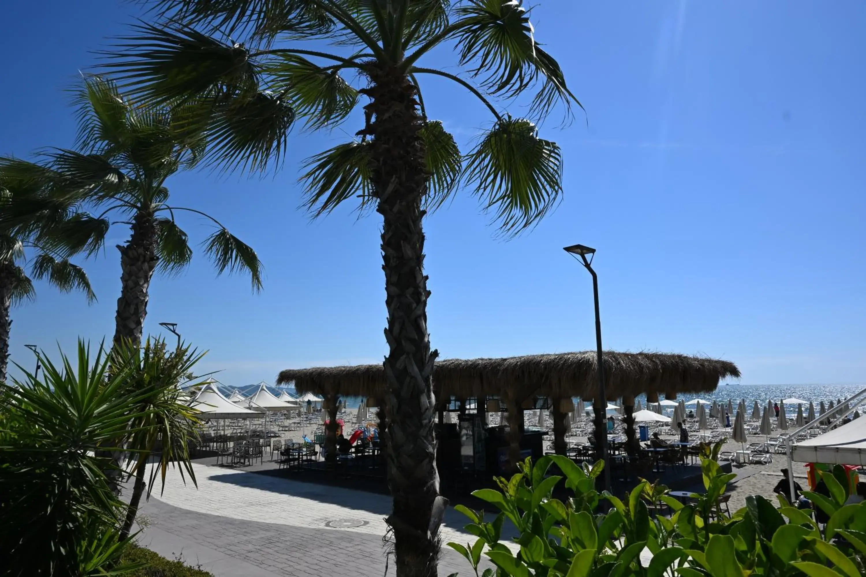 Luxury Premium Finese Luxury Premium Finese