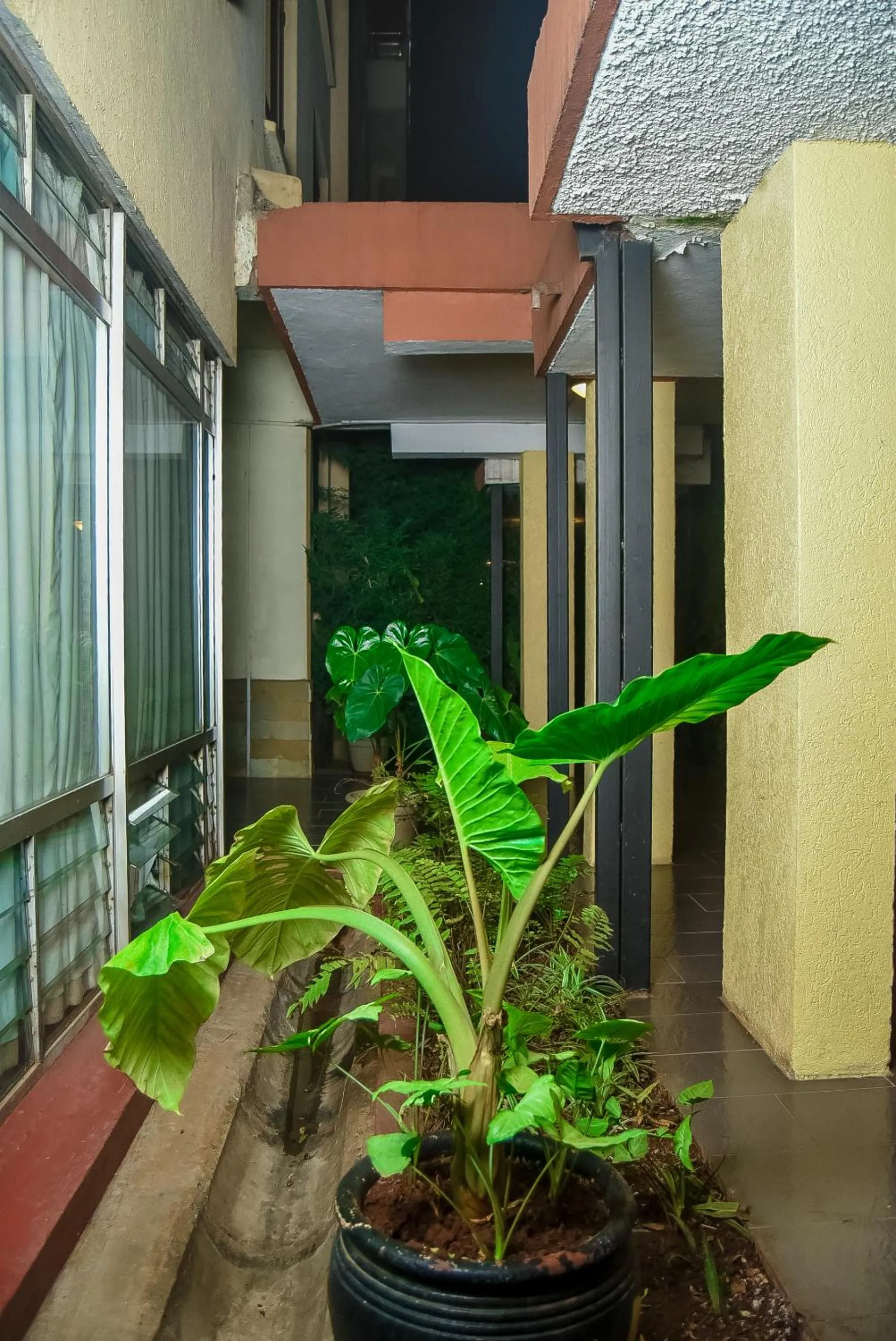 Garden view in Ngong Hills Hotel