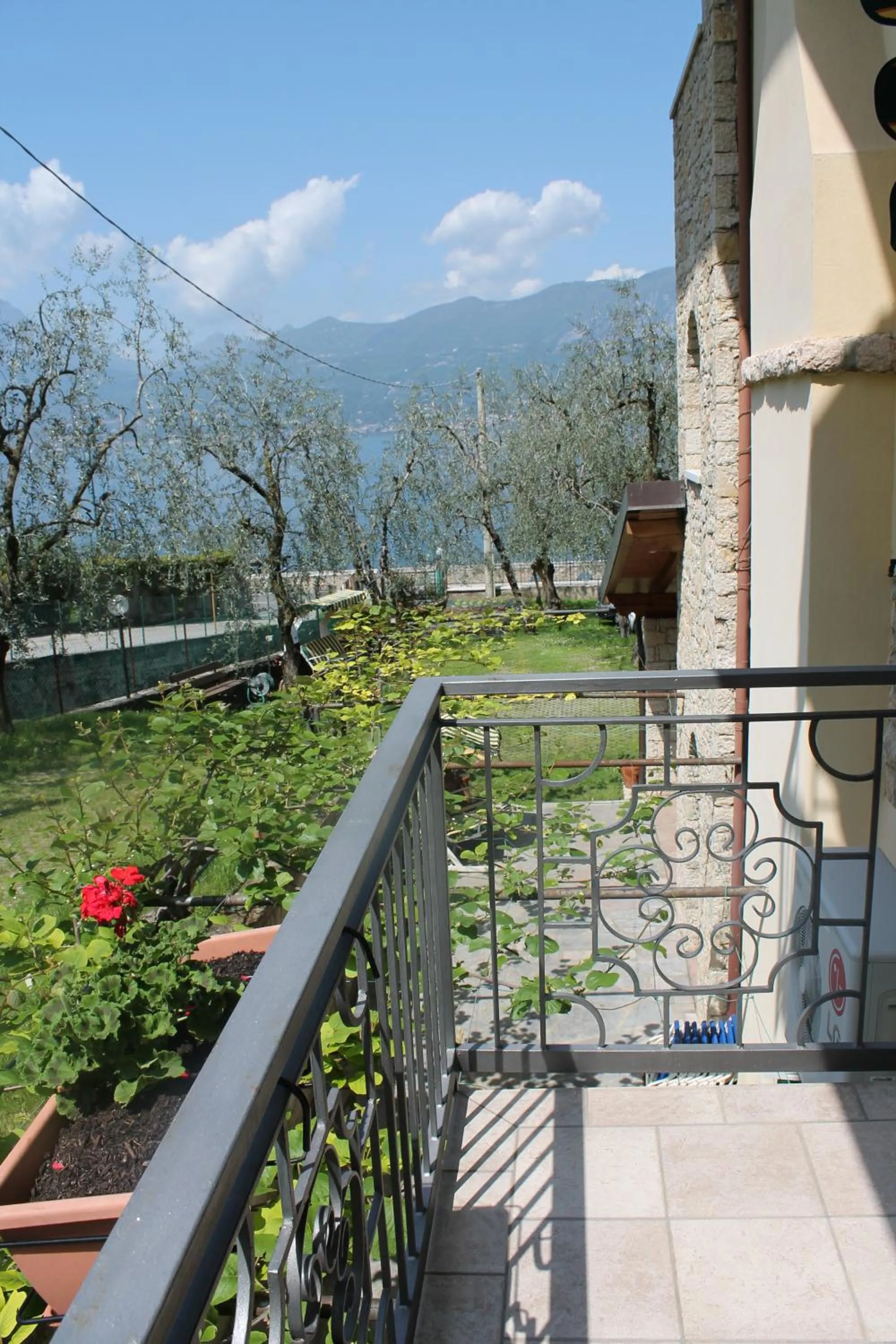 Garden in Hotel Veronesi