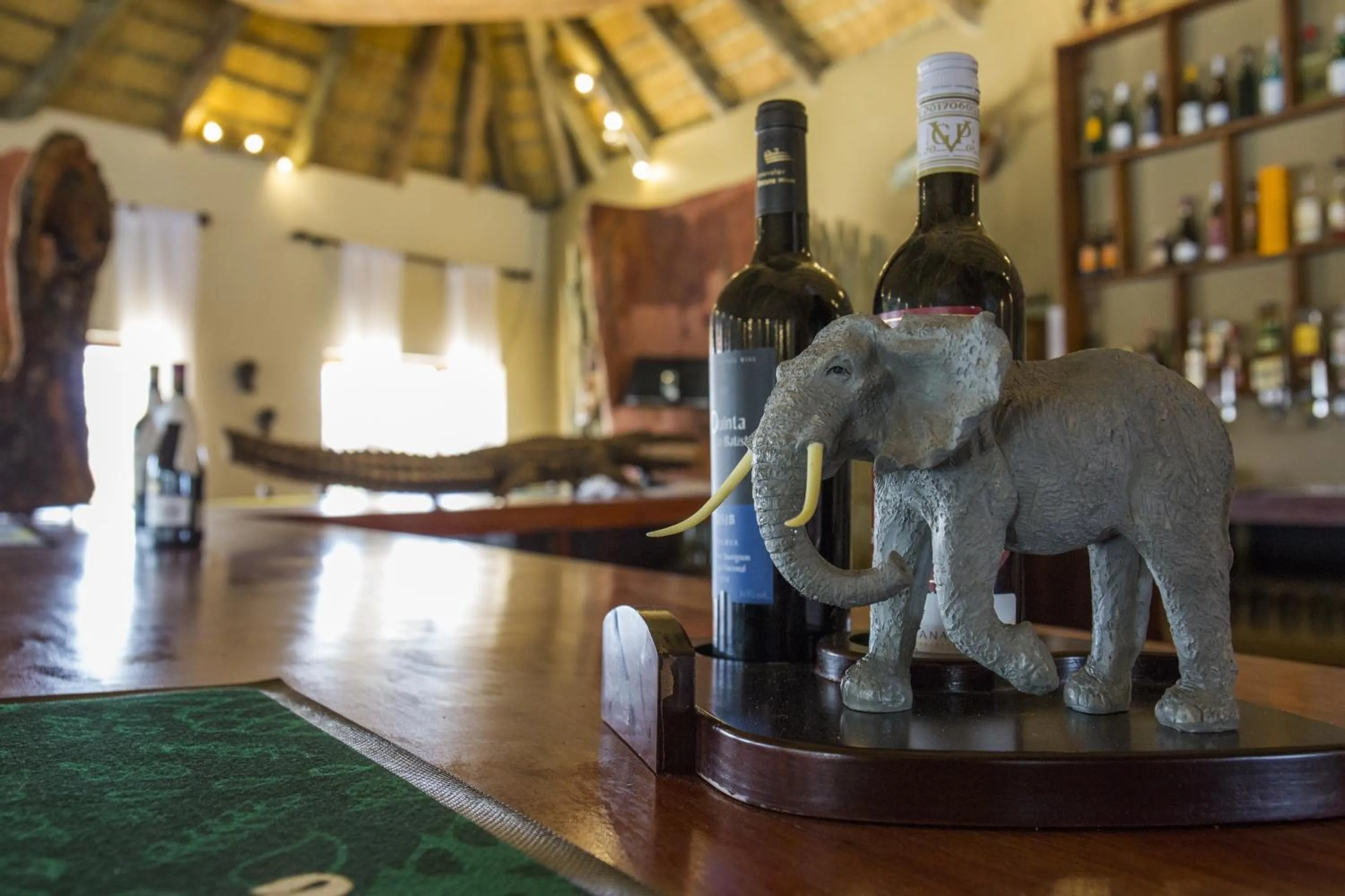 Lounge or bar in Gondwana Hakusembe River Lodge