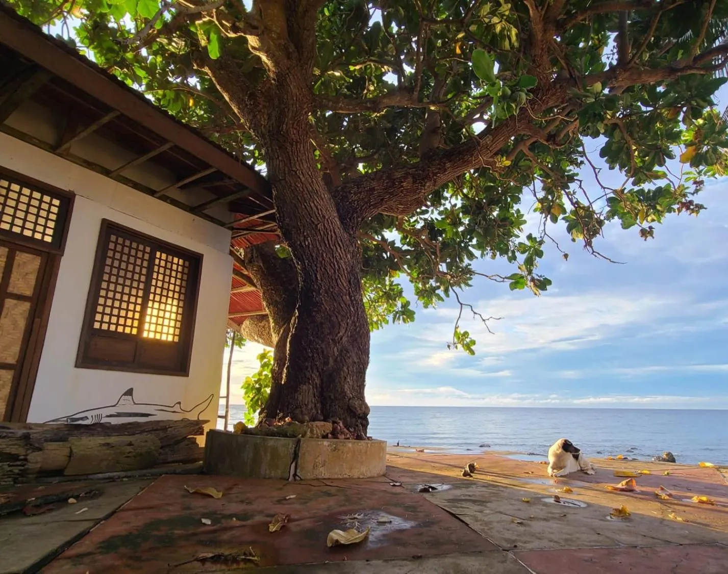 Property building in Paseo Del Mar Seaside Inn