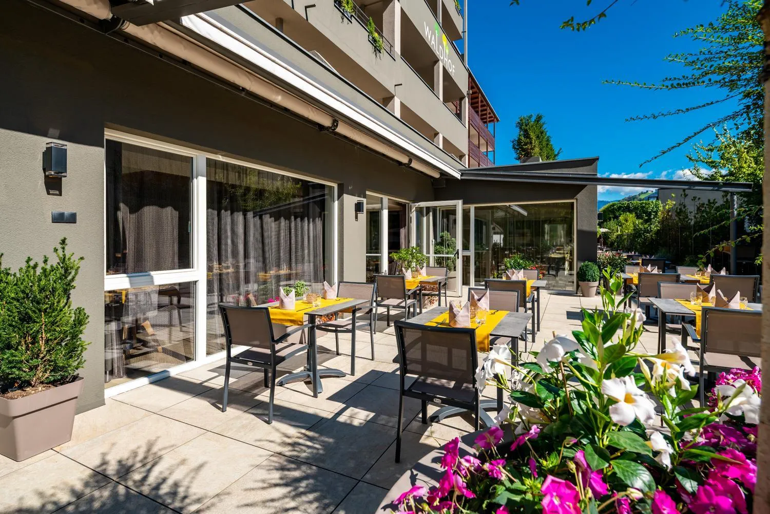 Restaurant/places to eat in Vitalpina Hotel Waldhof