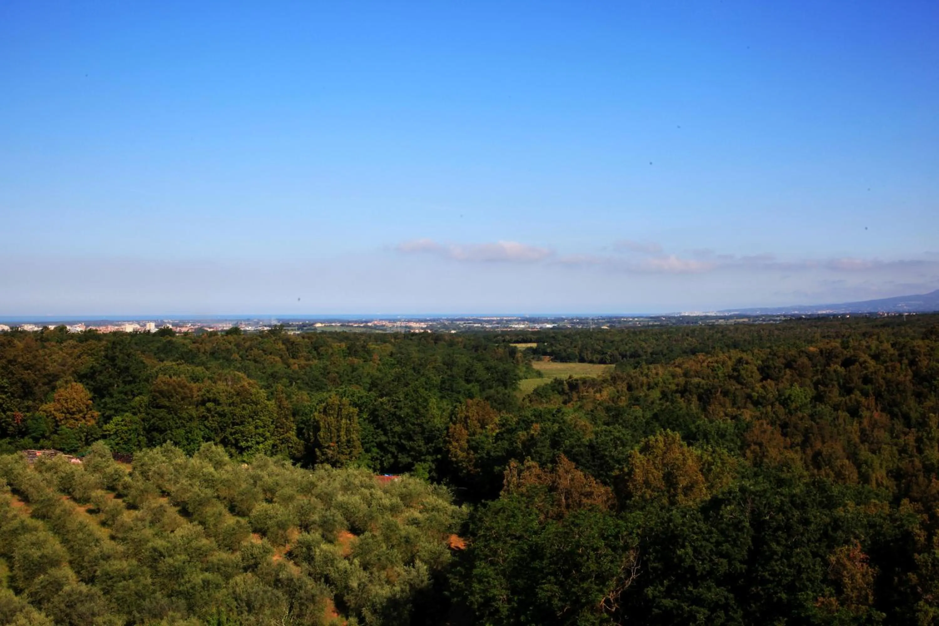 Natural landscape in MORF suites