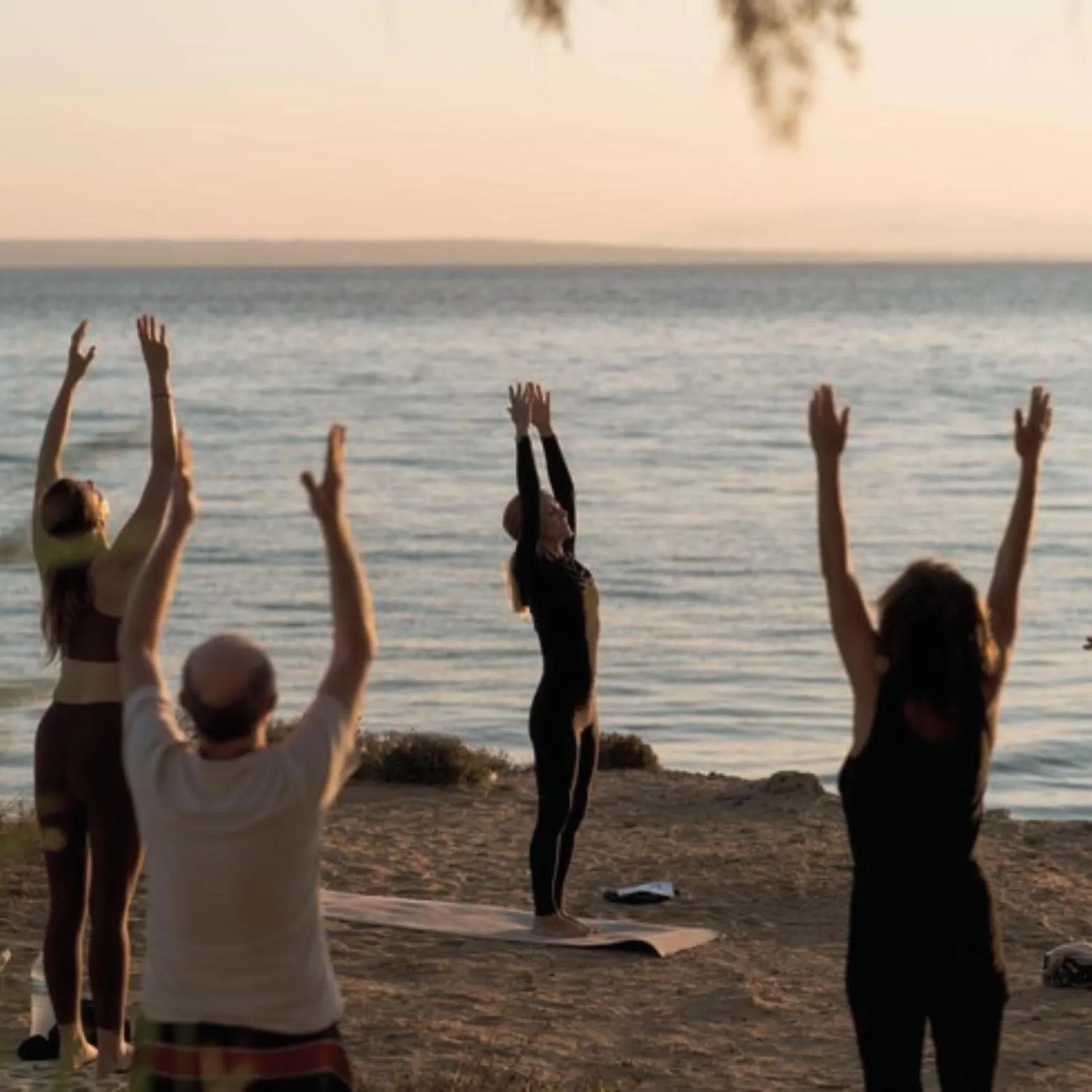 Natural landscape in MORF suites