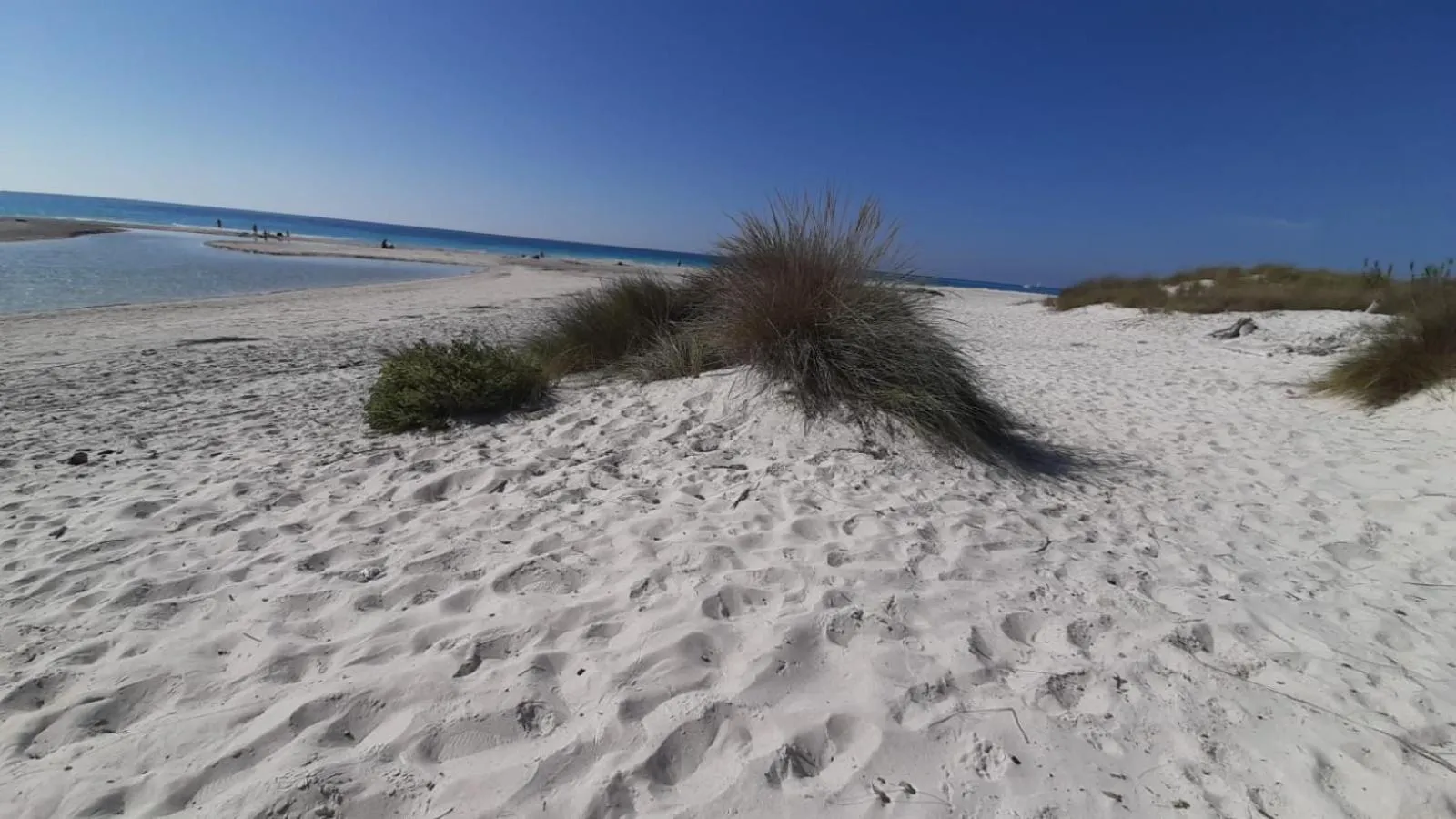 Natural landscape in MORF suites