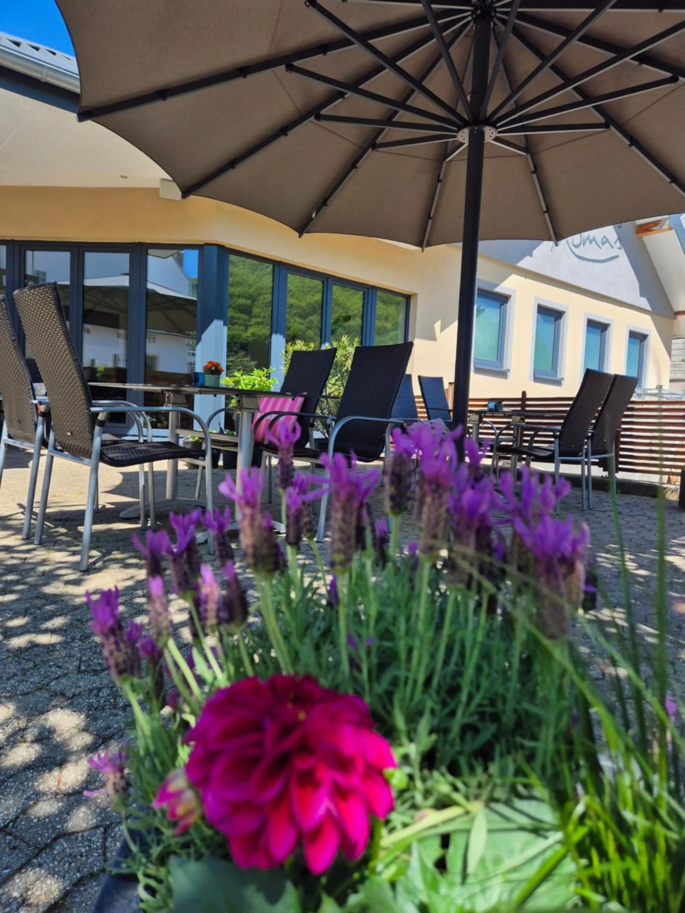 Weinhaus Thomas