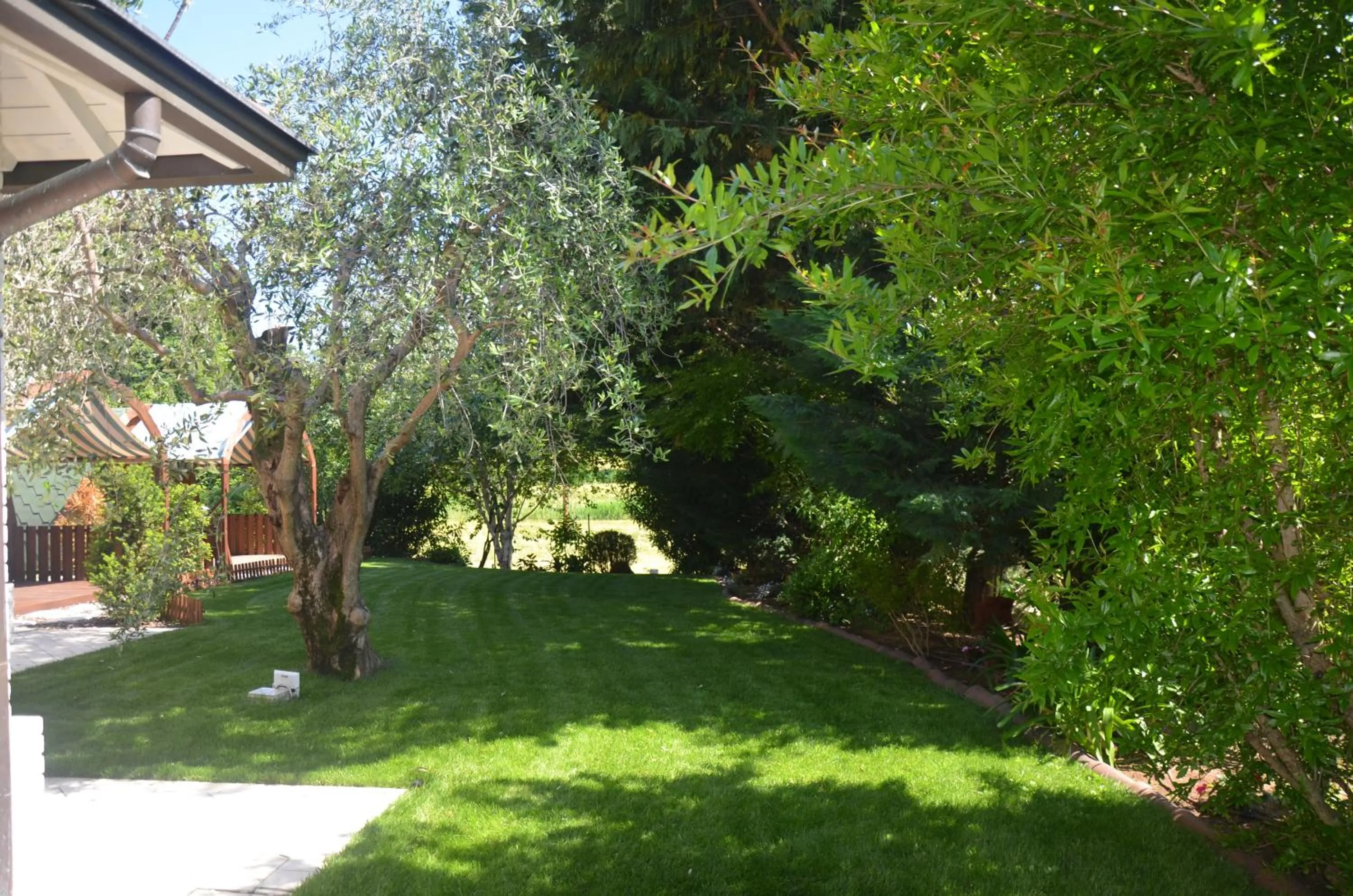 Asso Bed & Breakfast