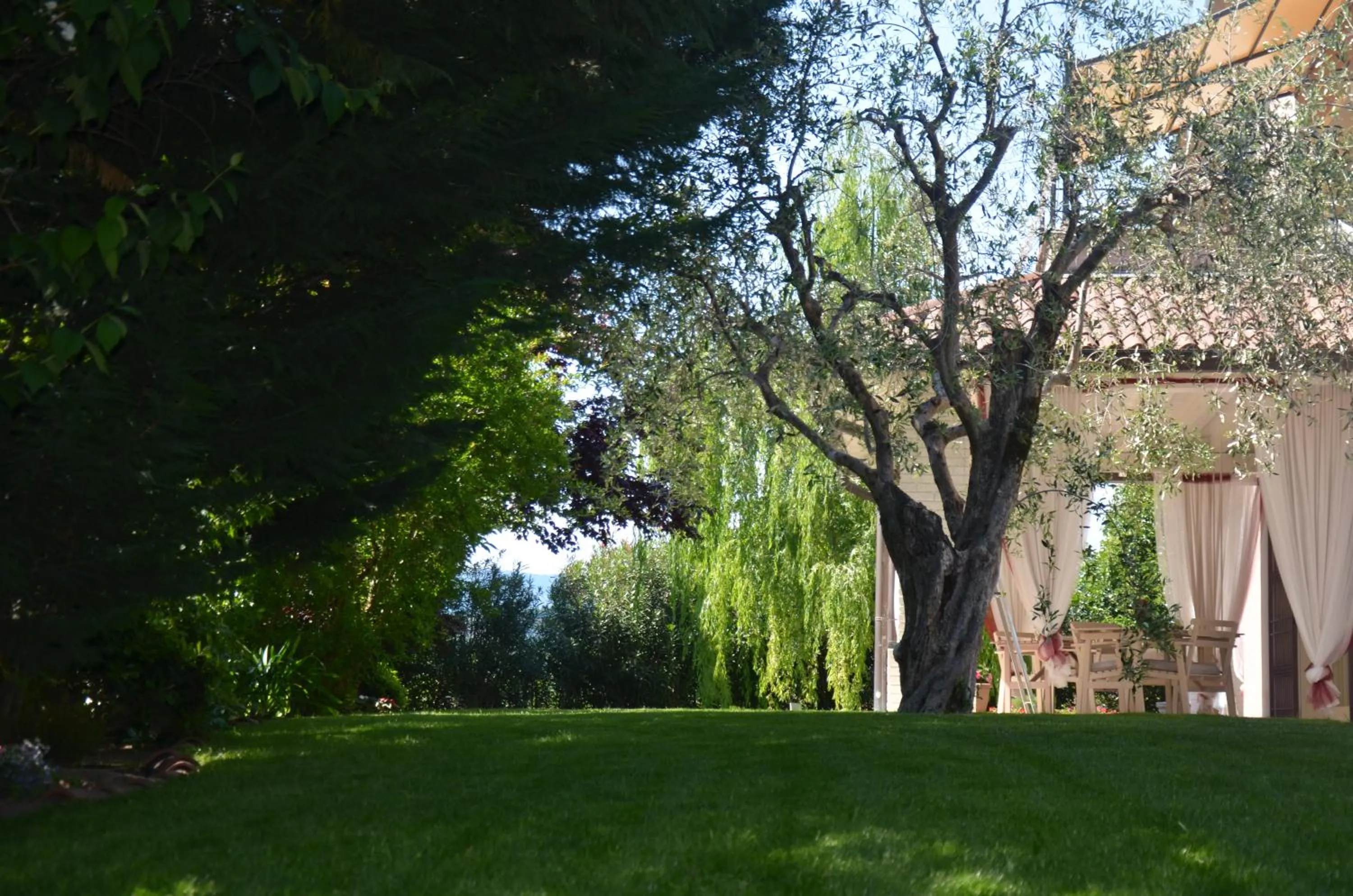 Garden in Asso Bed & Breakfast