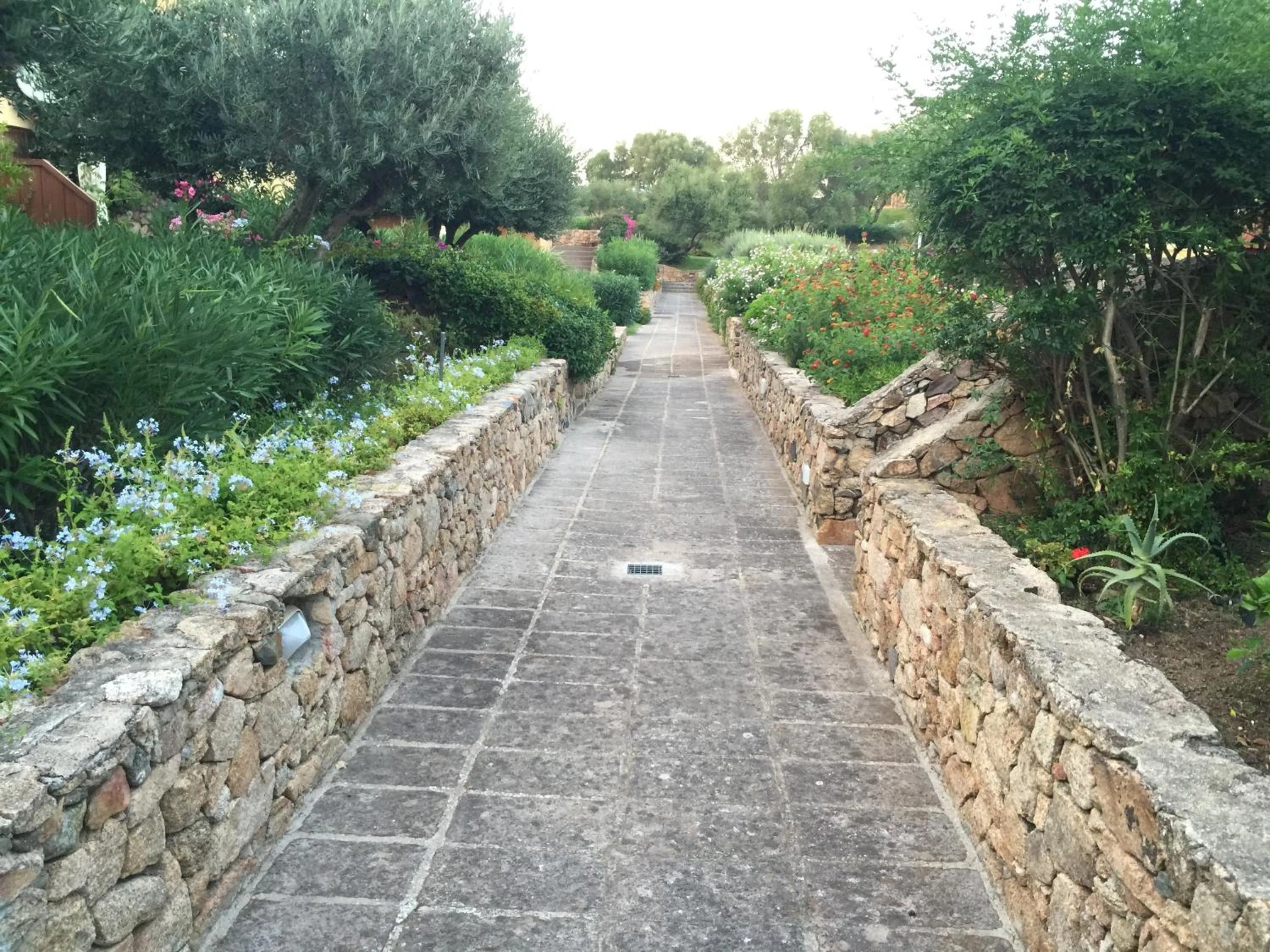 Garden in Luxury Apartment Sardegna