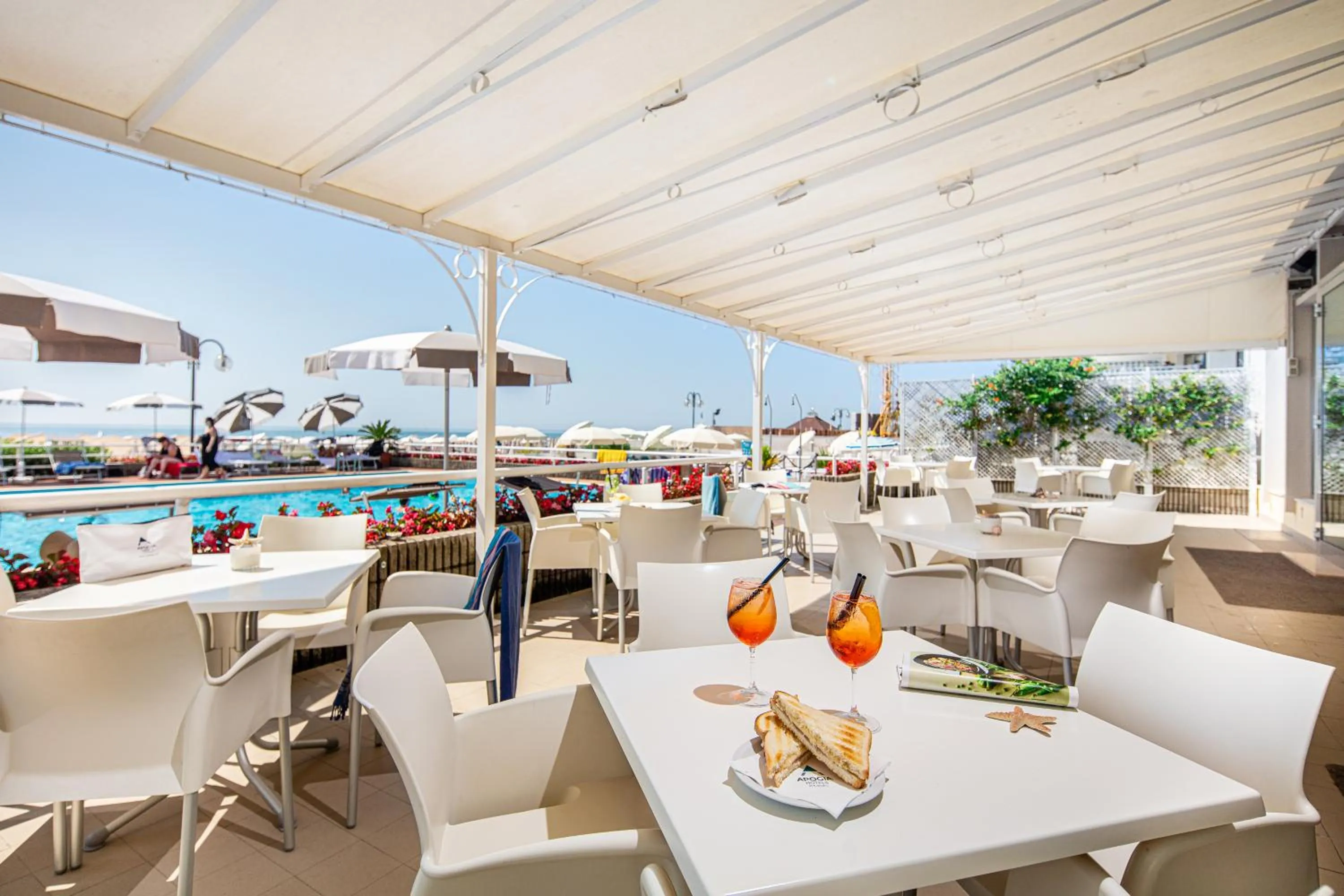 Balcony/Terrace in Hotel Astor