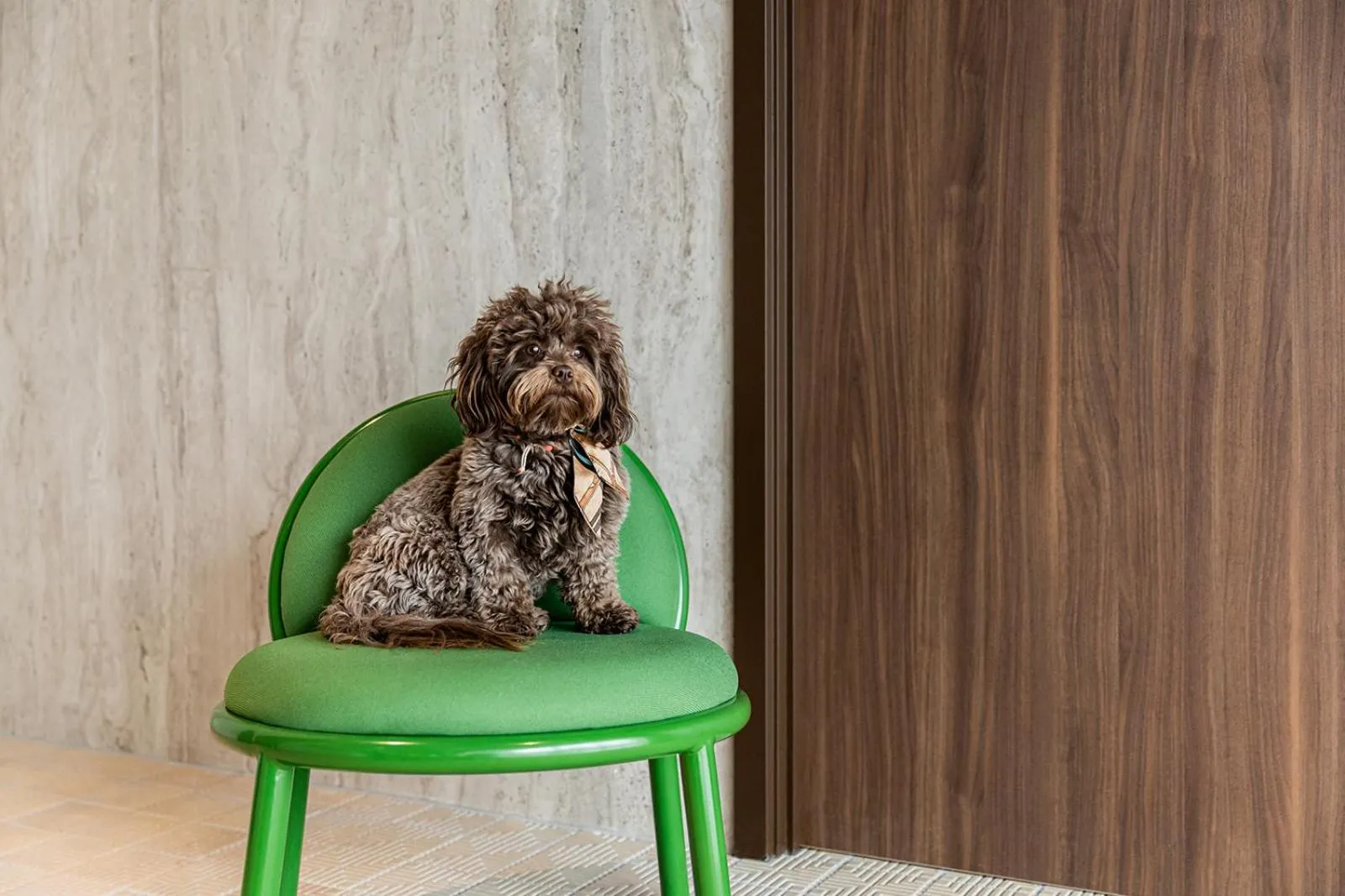 Pets in The Ostendian