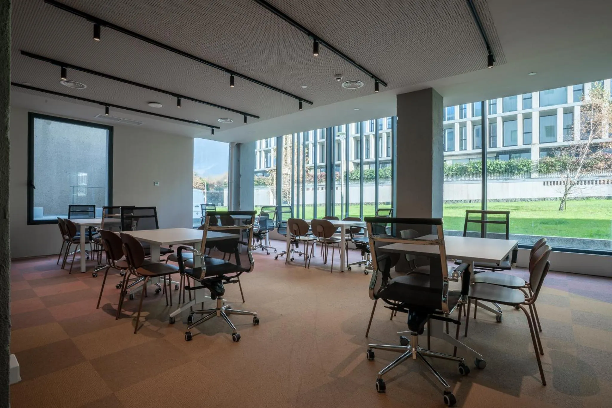 Lemonade Stays Santiago de Compostela