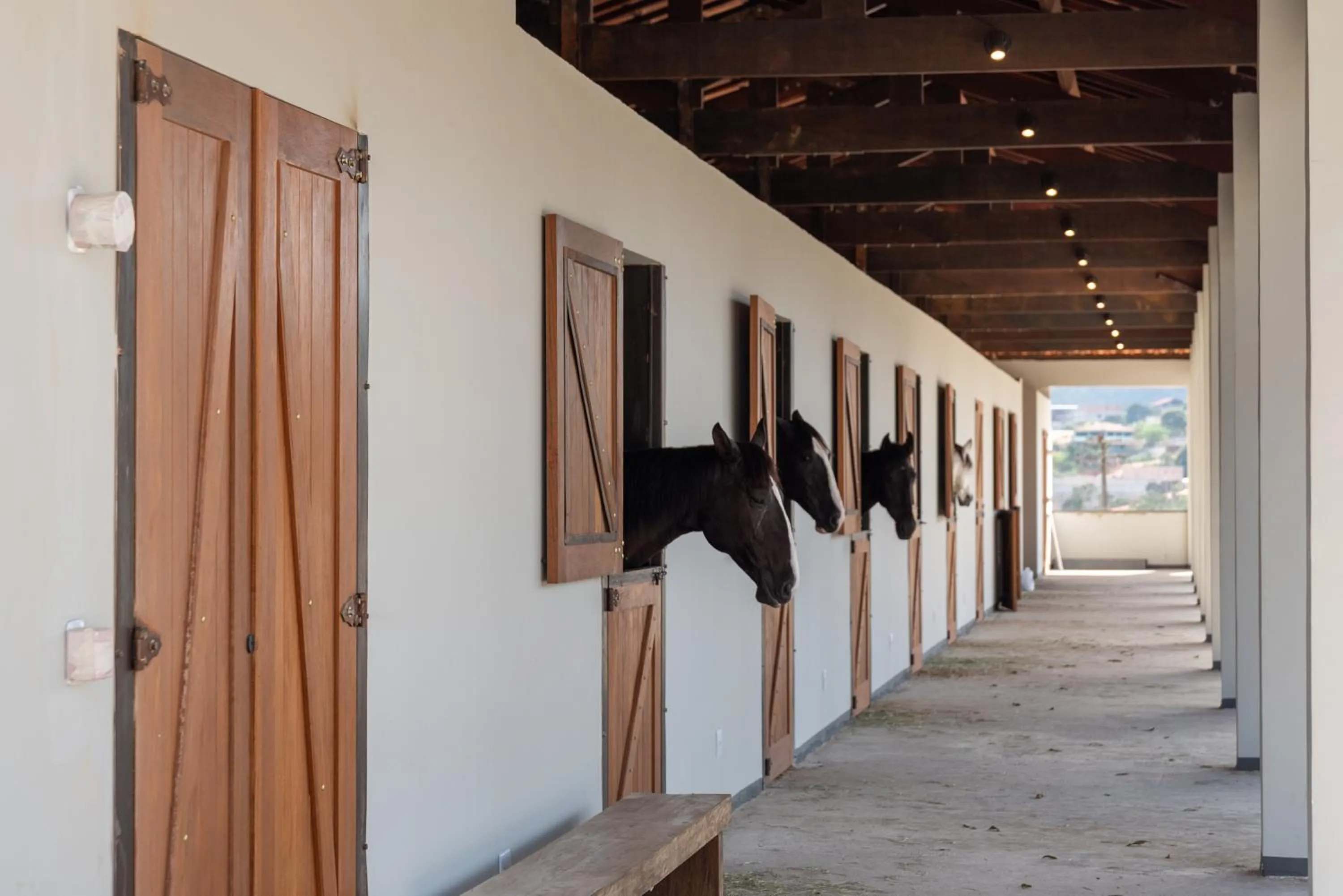 Entertainment in Vila Galé Collection Ouro Preto