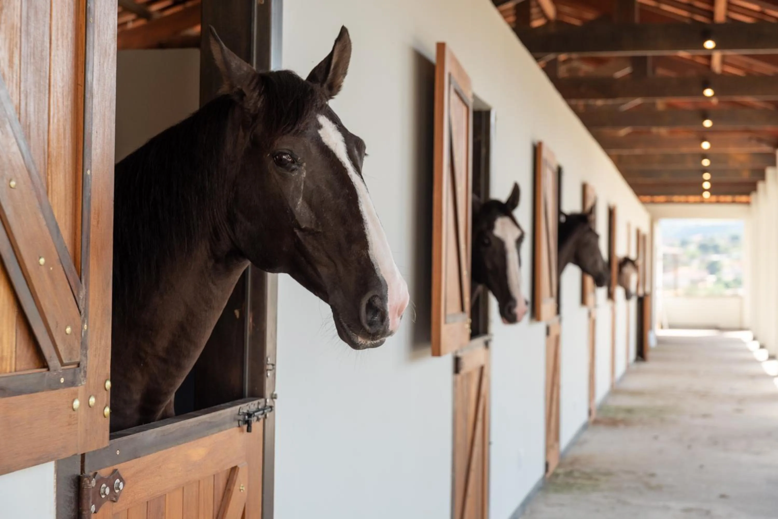 Entertainment in Vila Galé Collection Ouro Preto