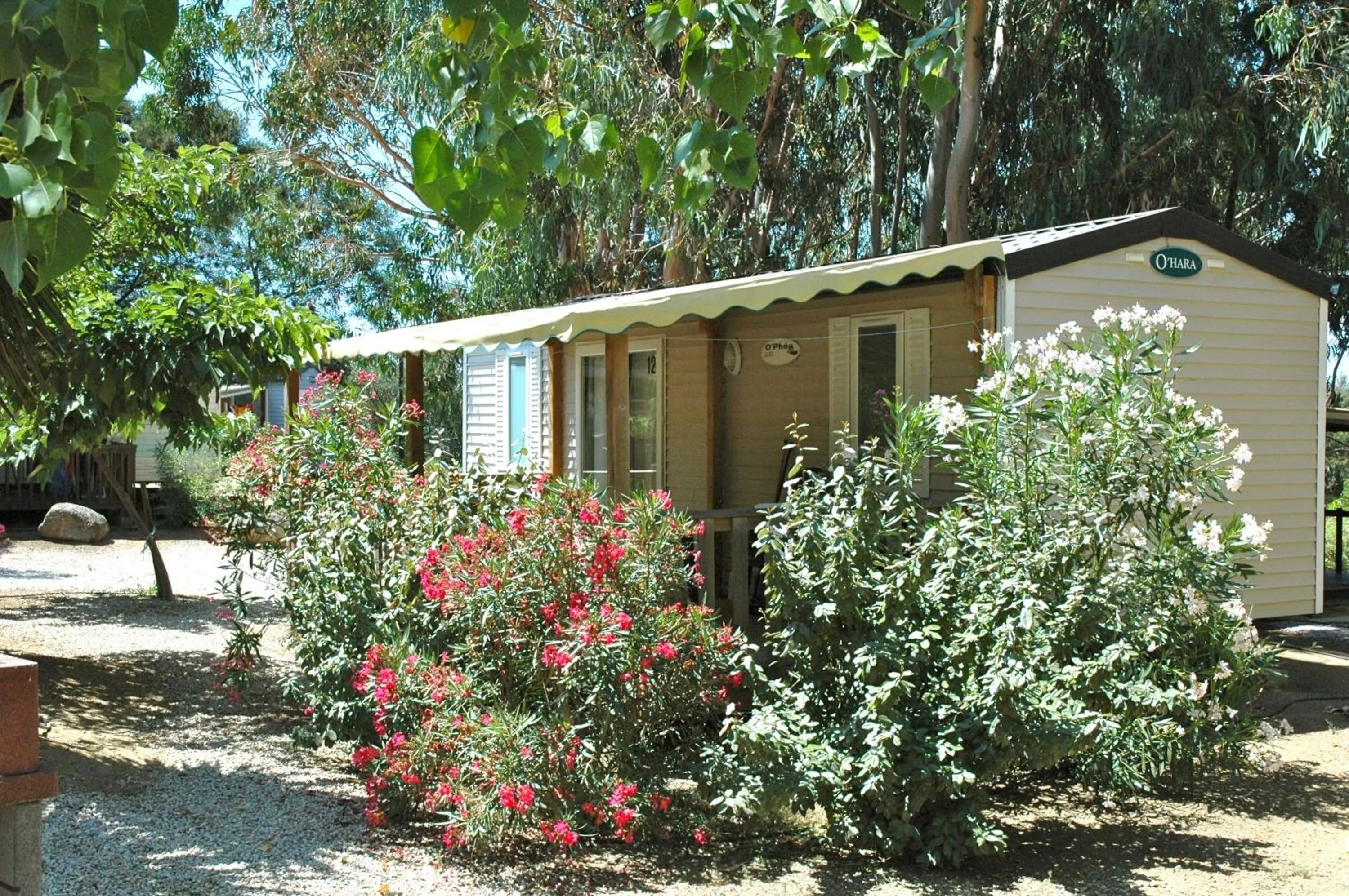 Location du Ranch Cantarettu