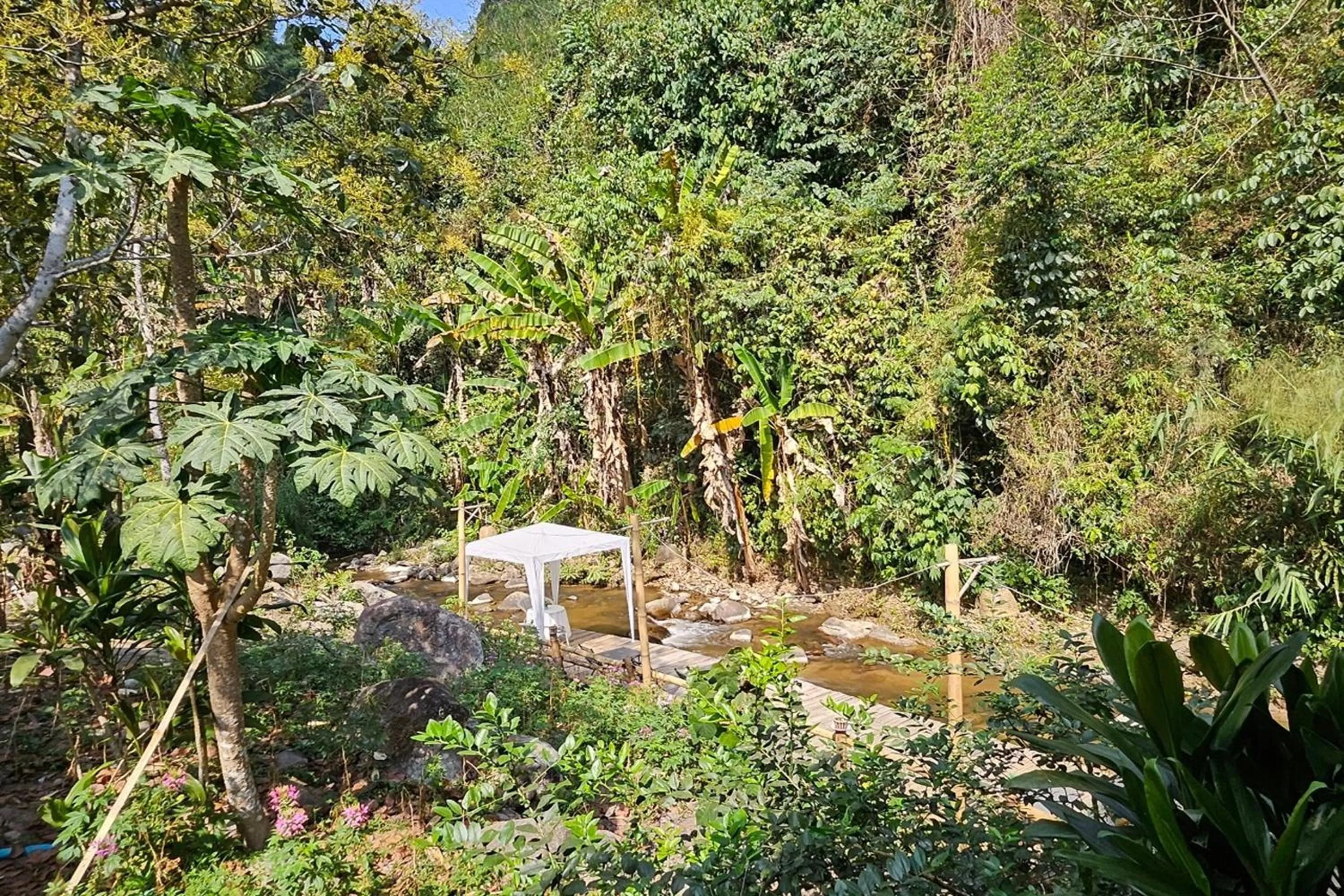 Natural landscape in Mae Mae Home