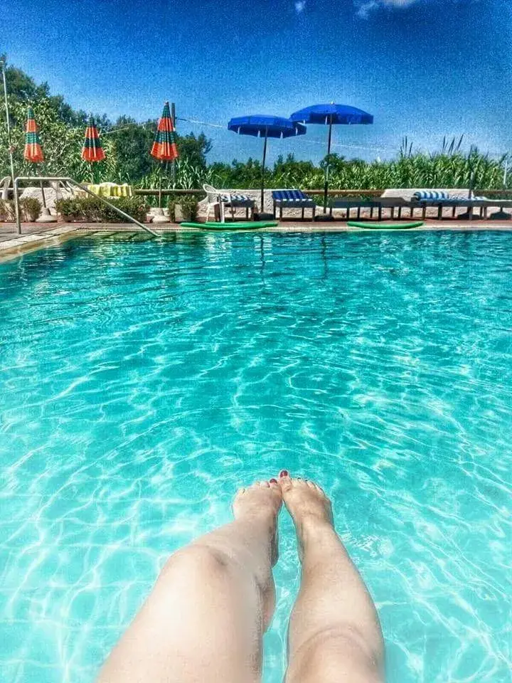 Pool view in Hotel Al Bosco Pool view in Hotel Al Bosco