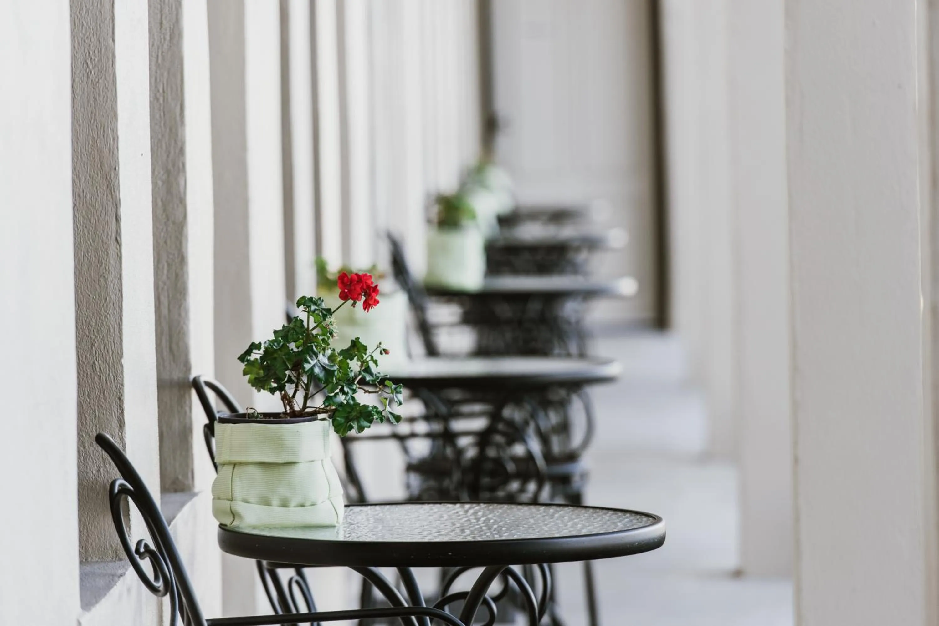 Inverell Terrace Motor Lodge