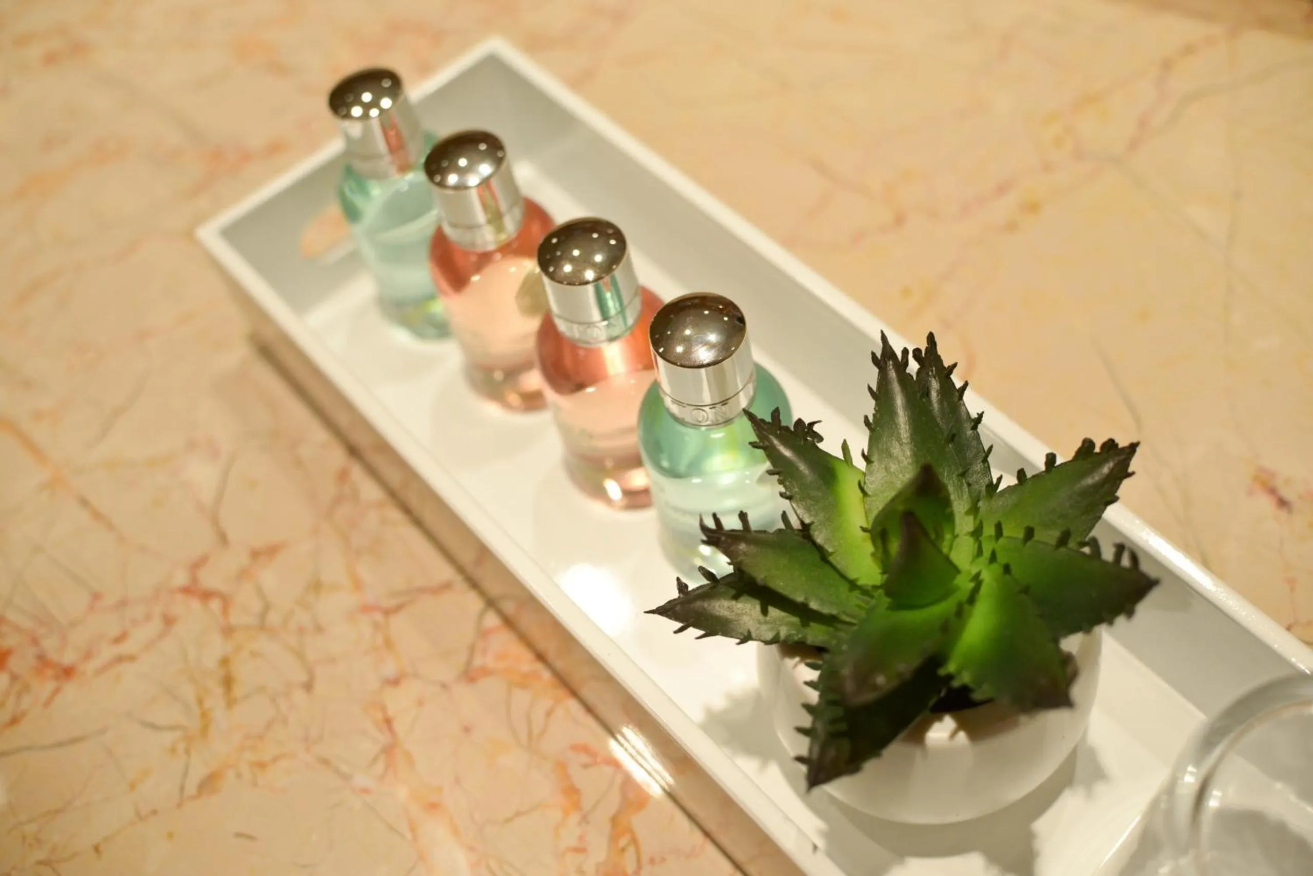 Bathroom in Panoramic Living