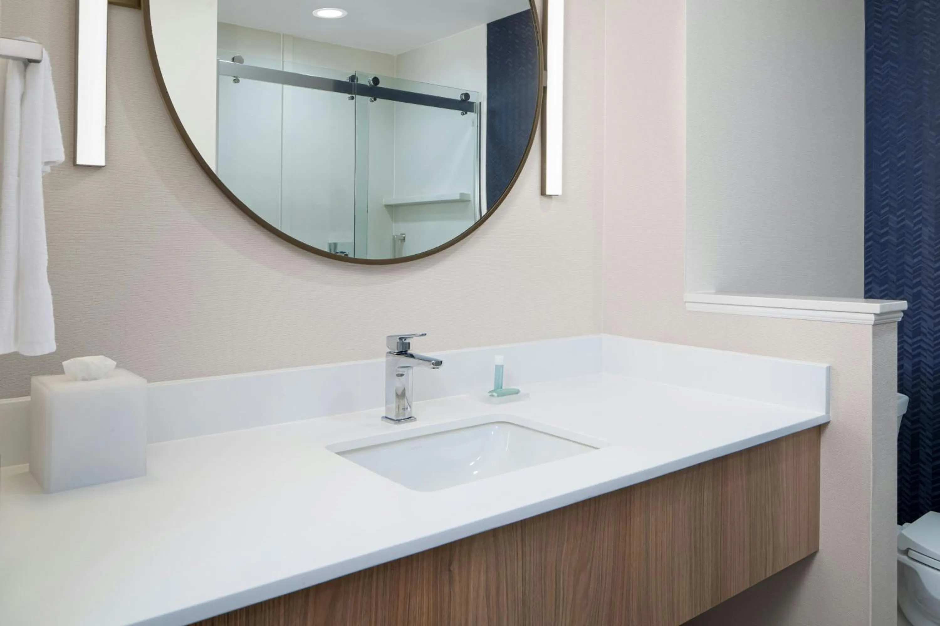 Bathroom in Fairfield Inn & Suites by Marriott Piedmont Greenville