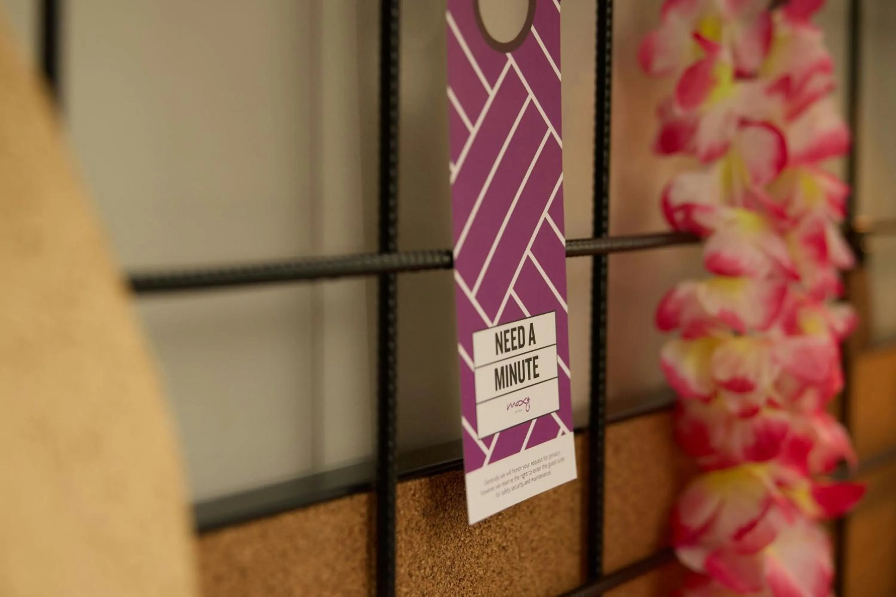 Photo of the whole room in Moxy Nice