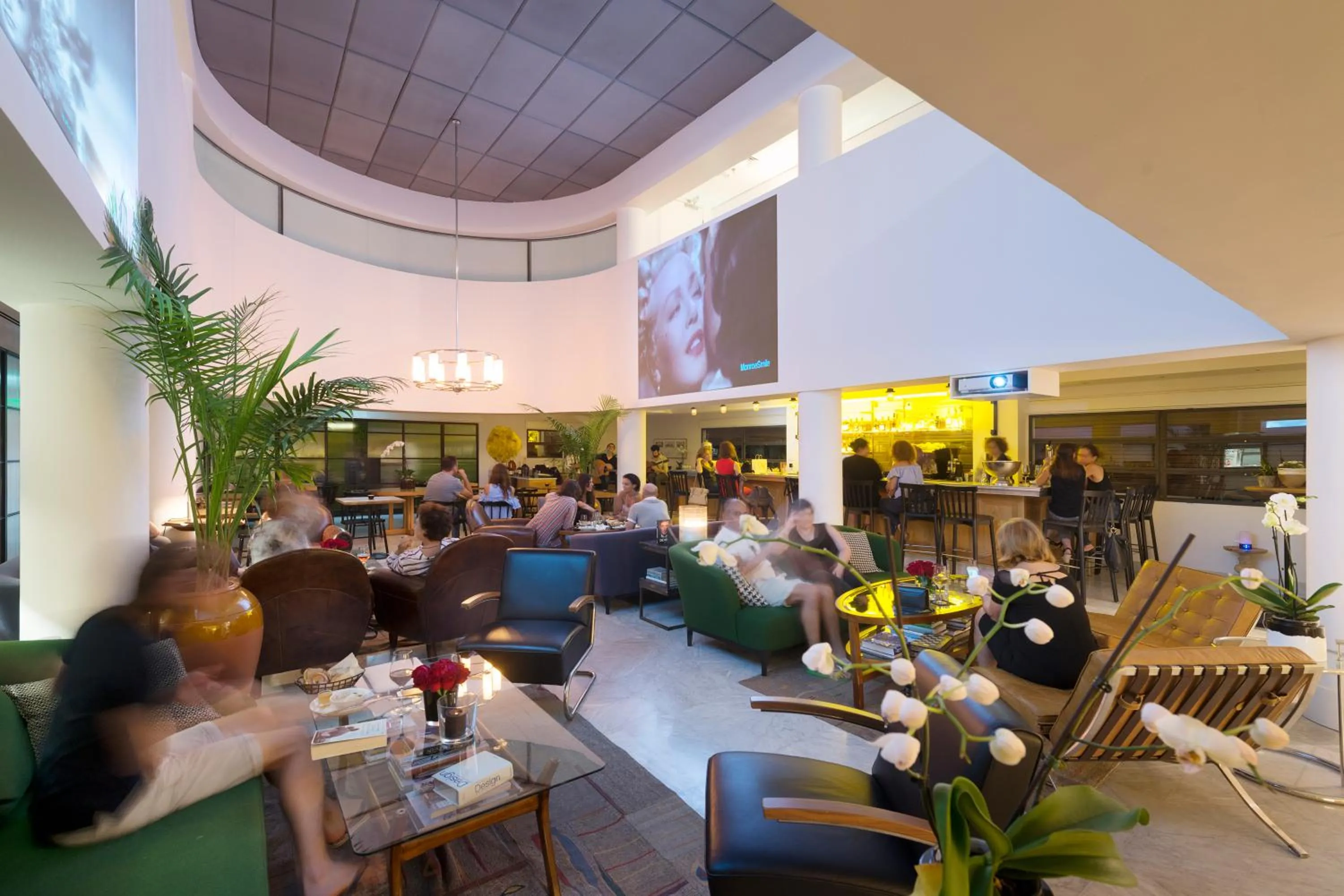 Lounge or bar in Lily & Bloom Boutique Hotel