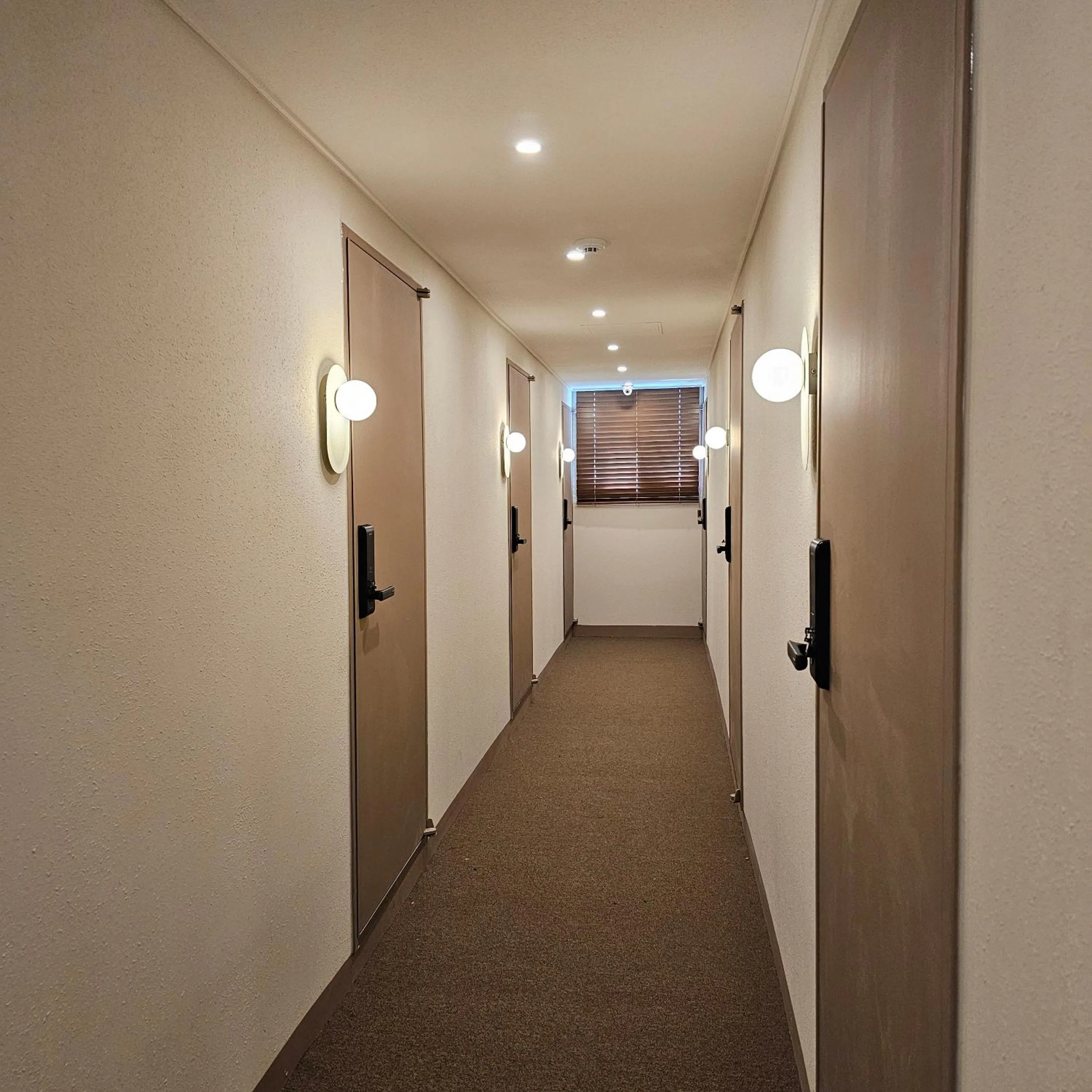 Parvus Sella Seongsu