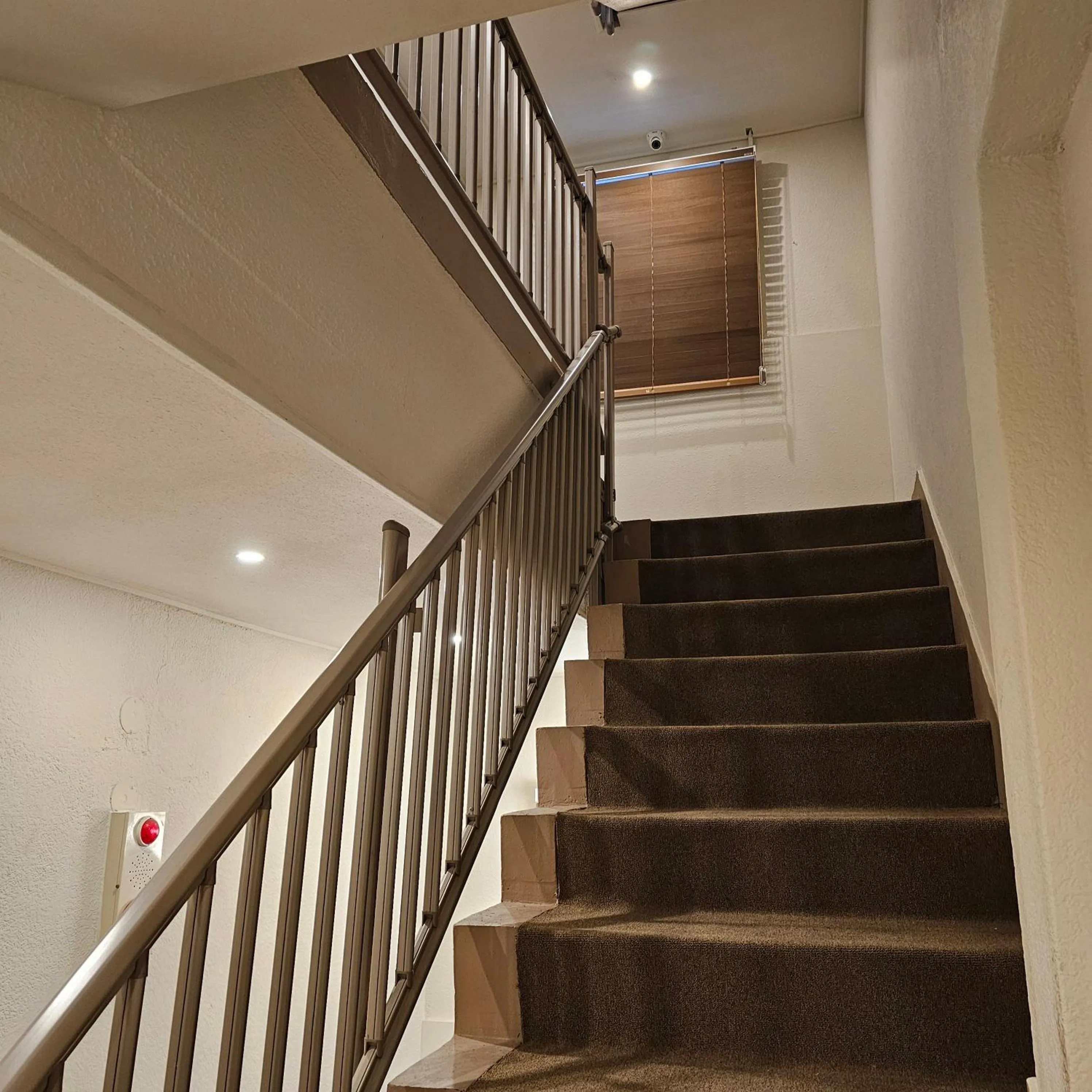 Parvus Sella Seongsu