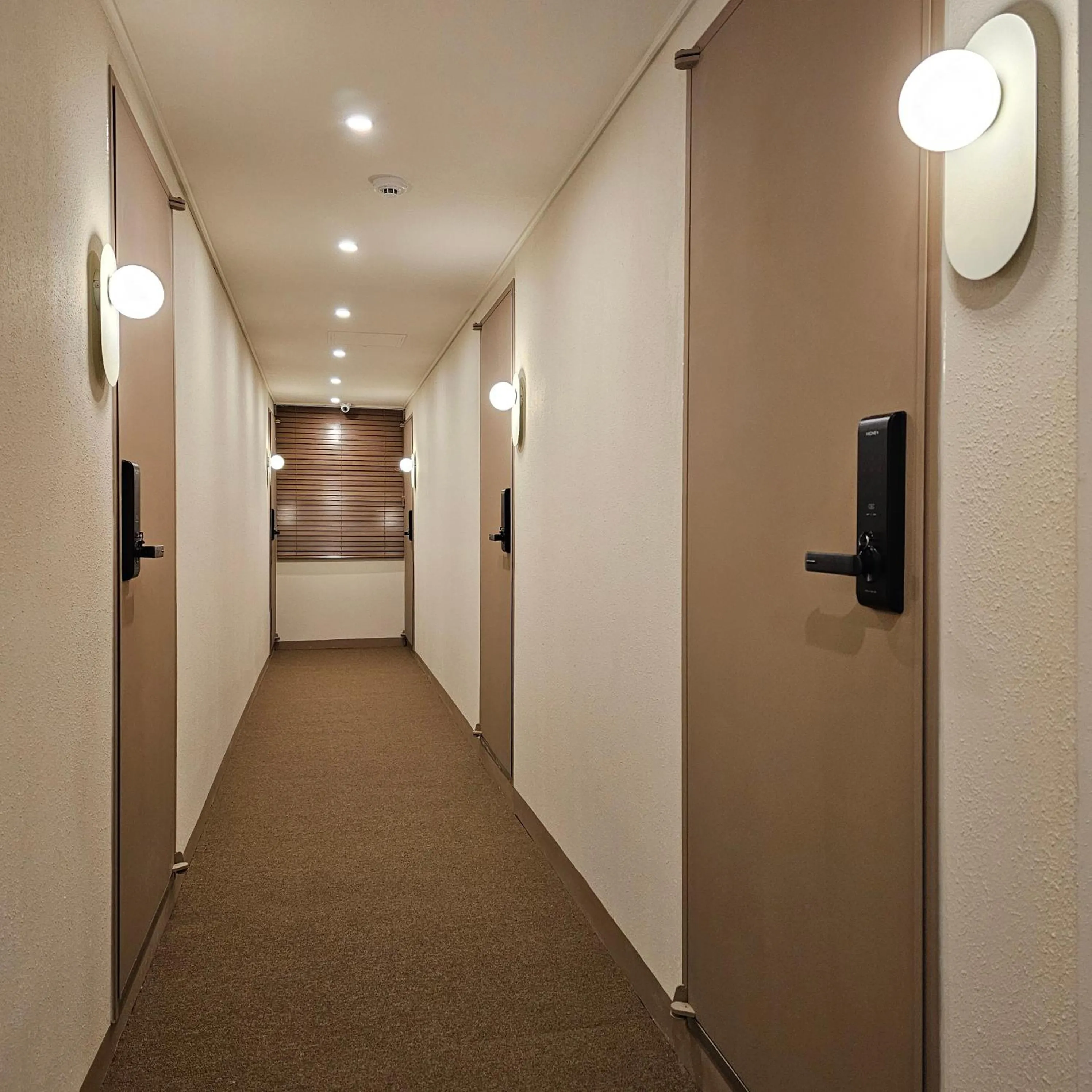 Parvus Sella Seongsu