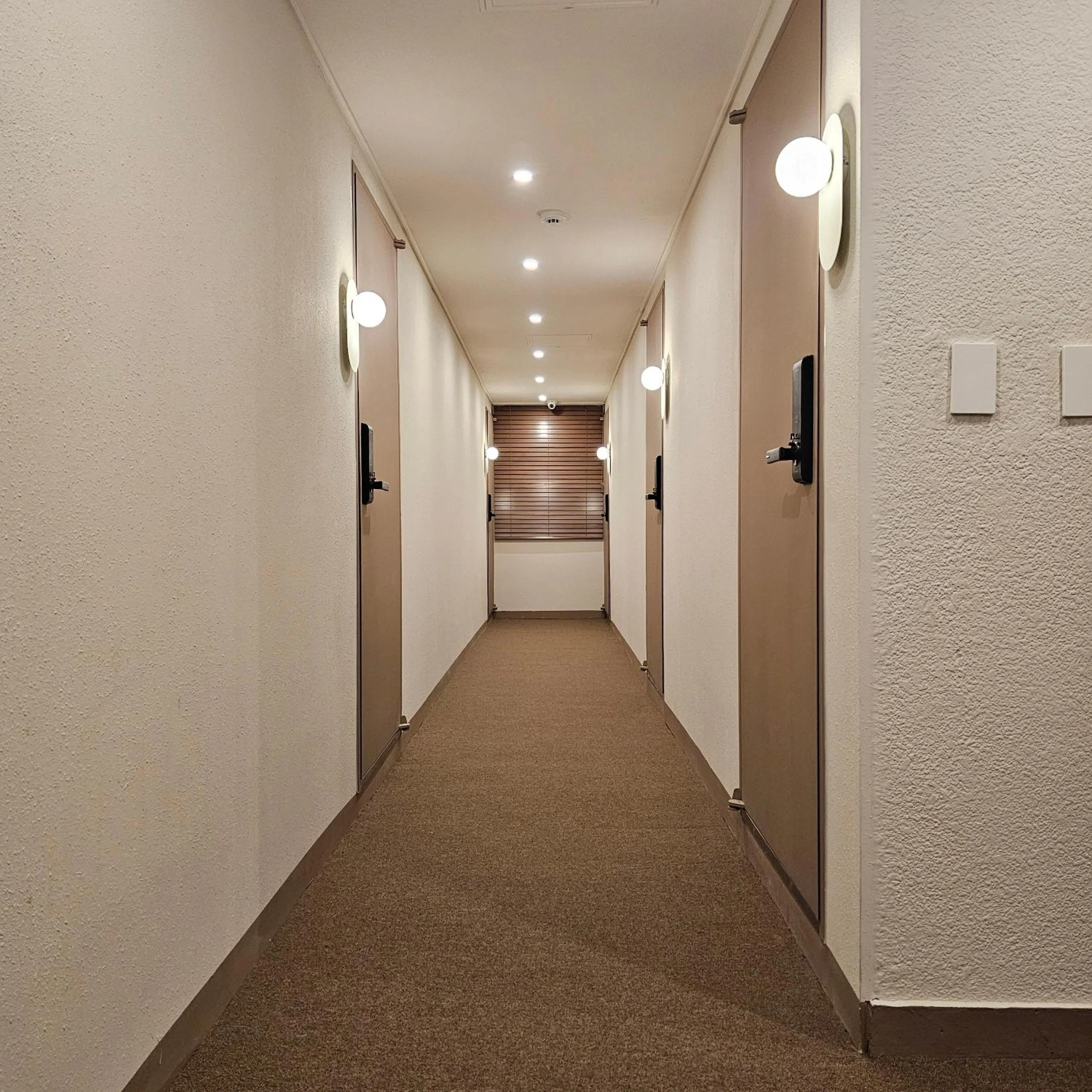 Parvus Sella Seongsu