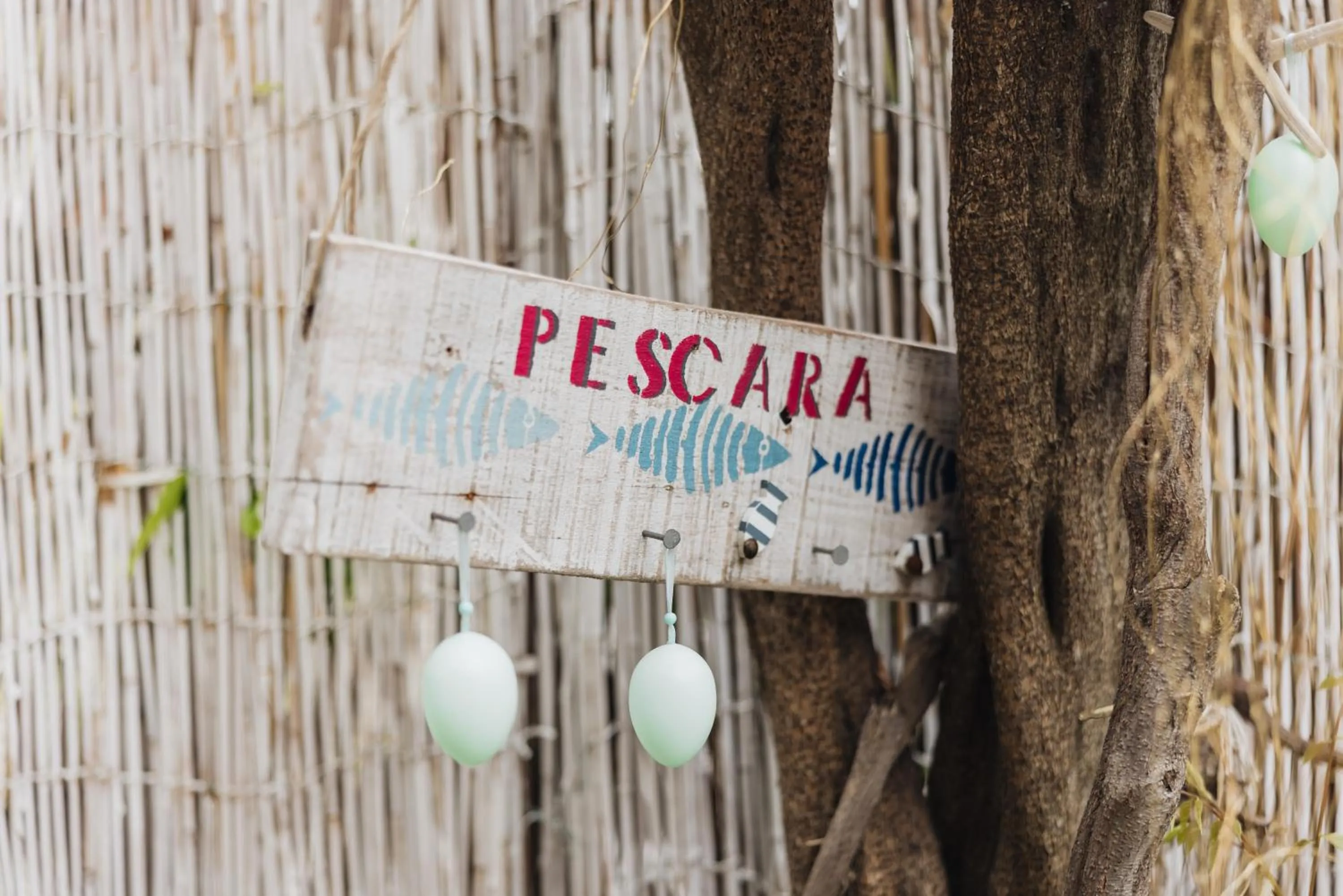 Mediterranea Sea House