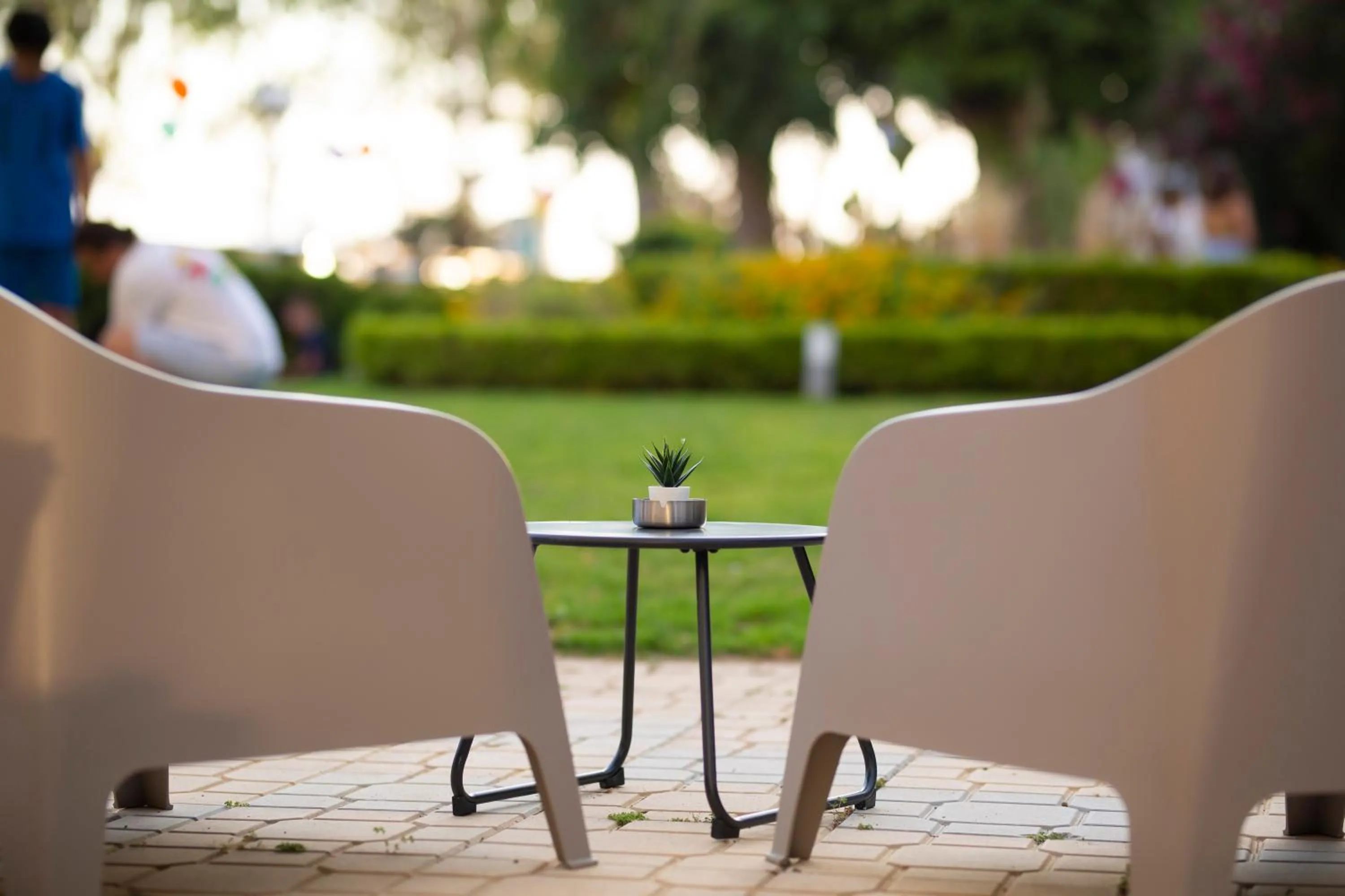 Garden in Delfini Hotel