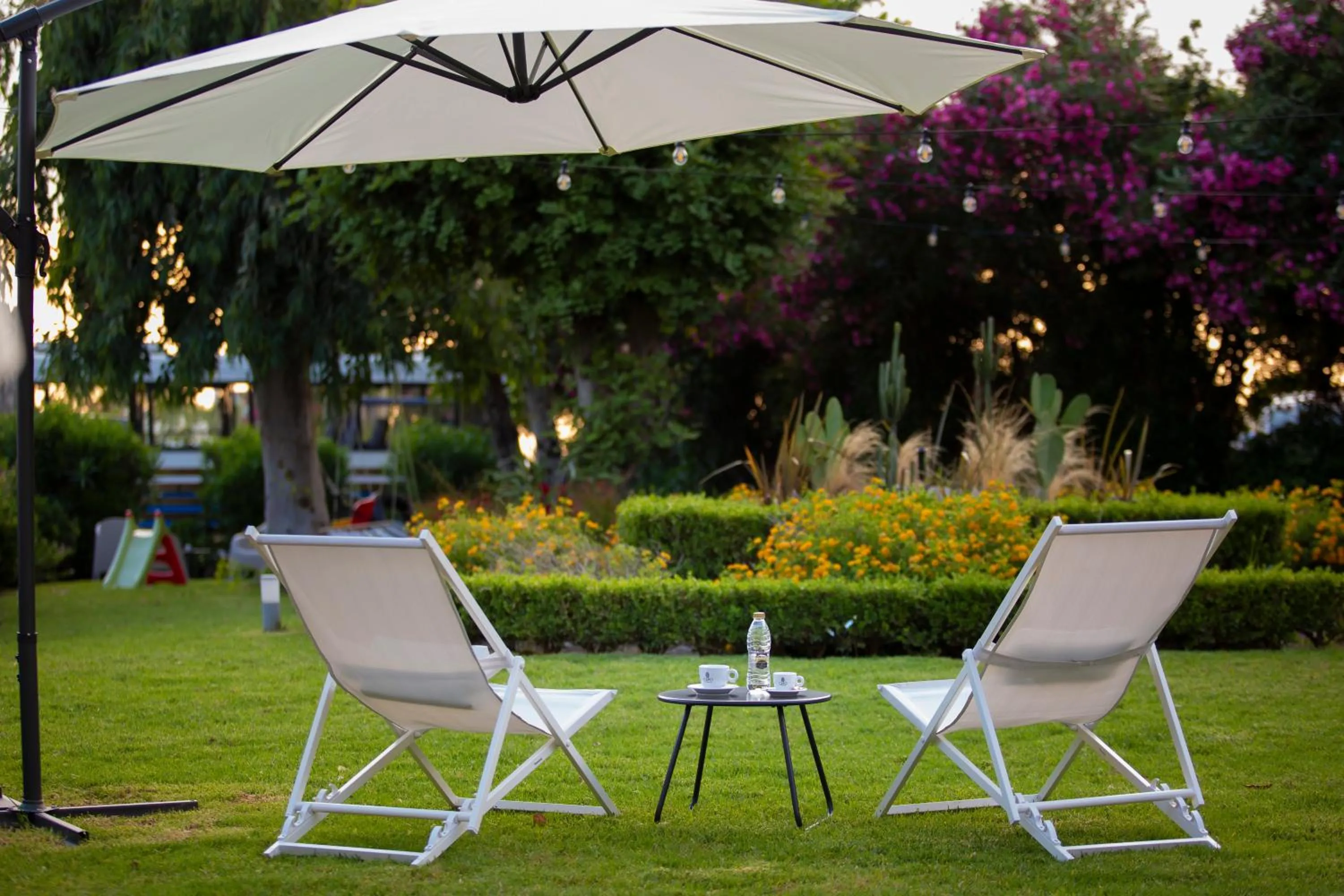 Garden in Delfini Hotel