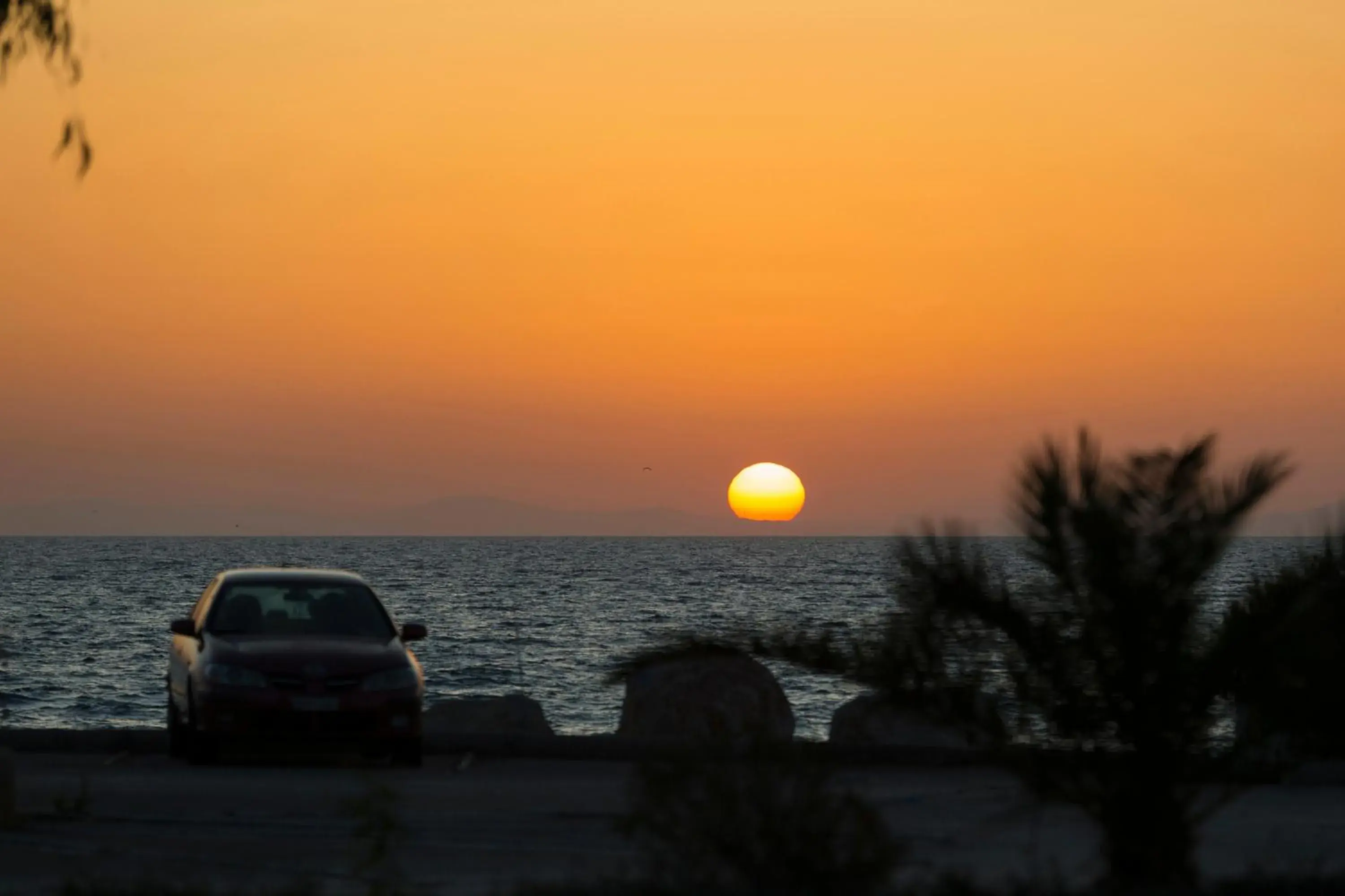 Sea view in Delfini Hotel Sea view in Delfini Hotel