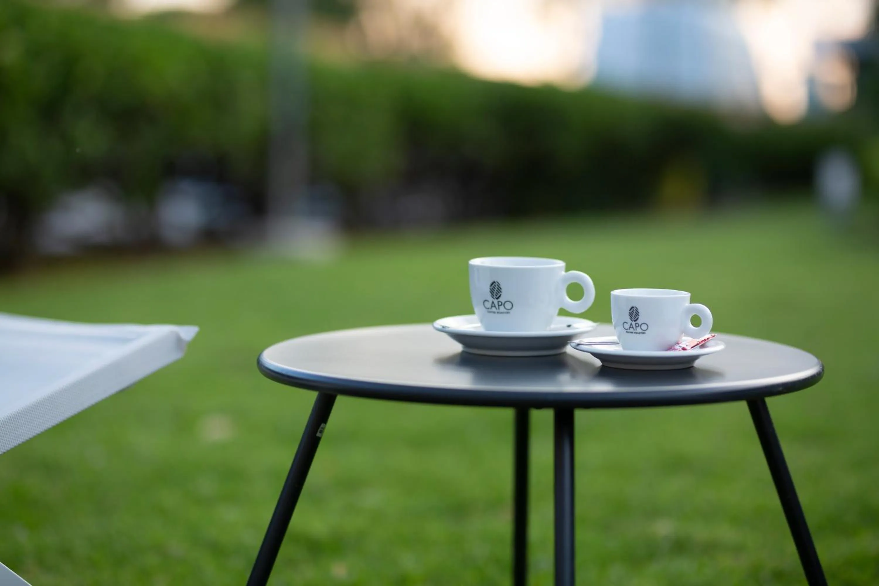 Garden in Delfini Hotel