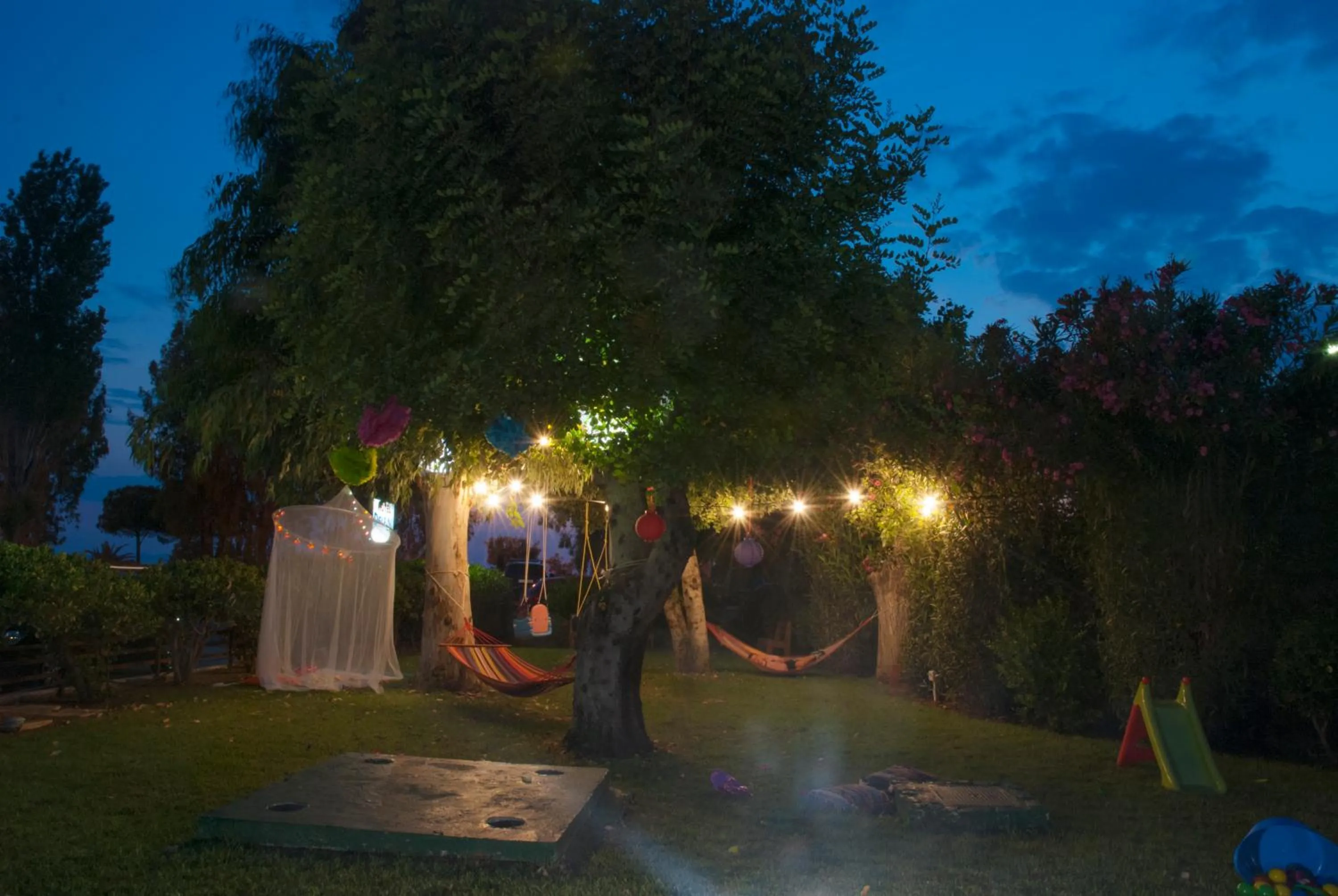 Garden in Delfini Hotel