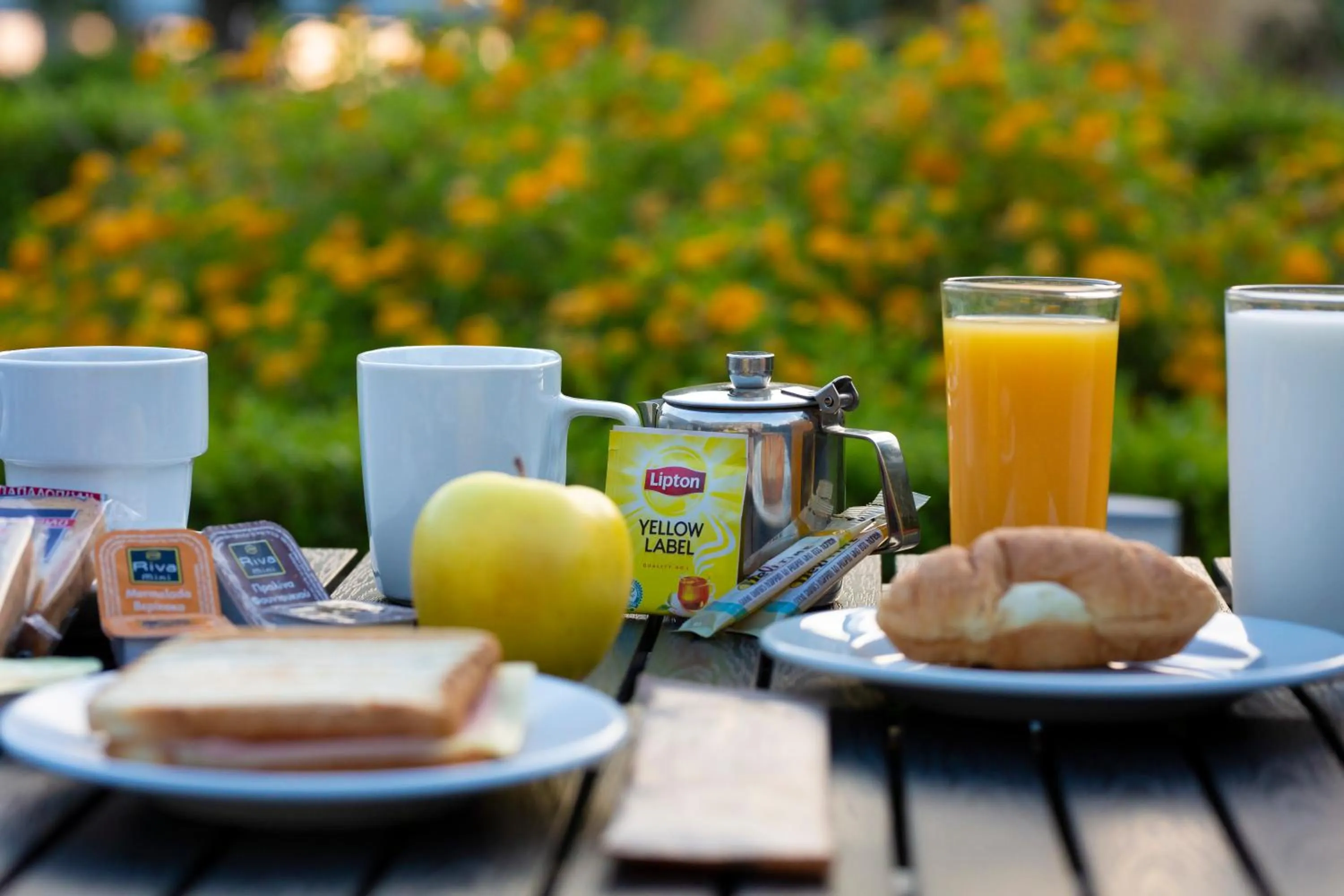 Breakfast in Delfini Hotel