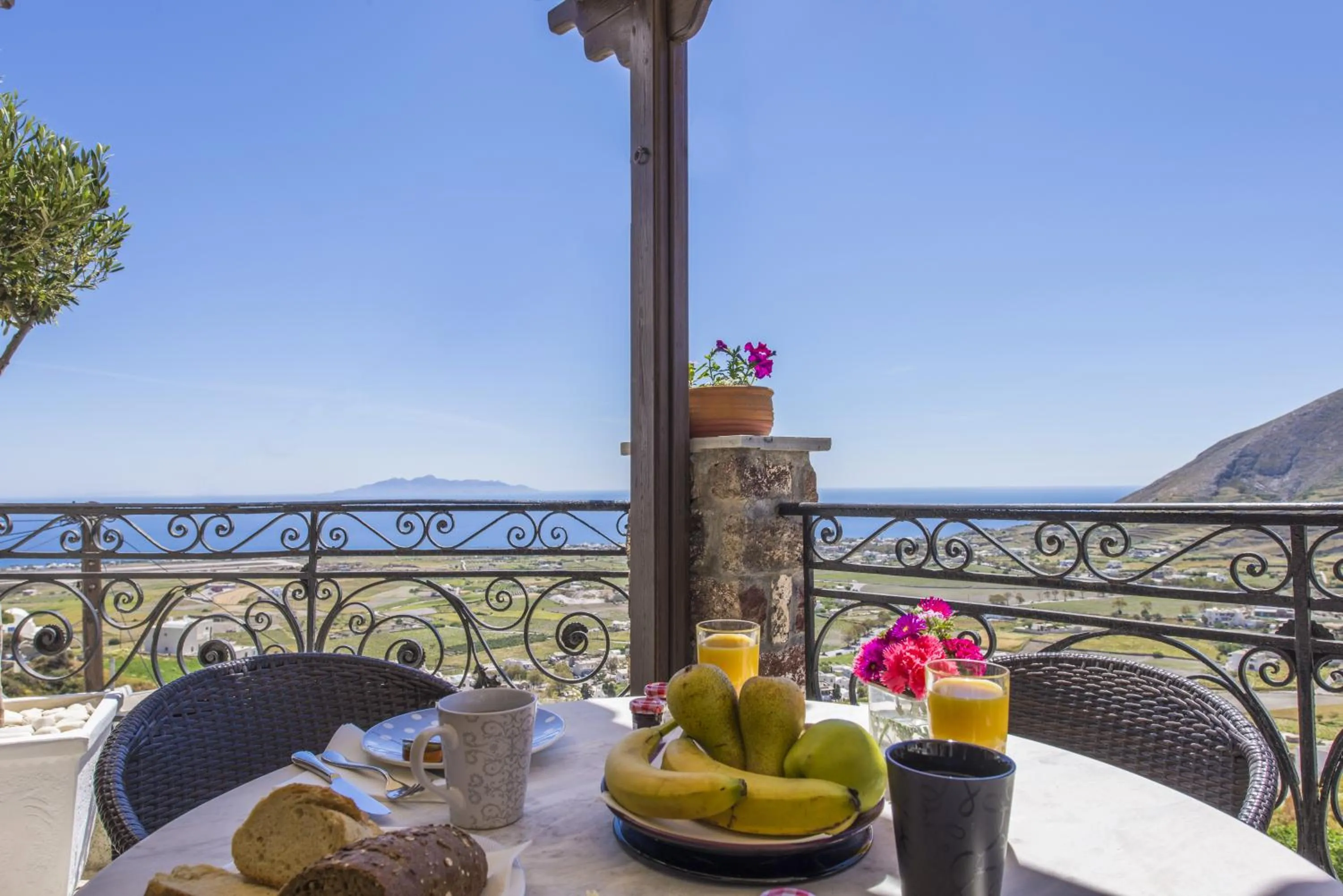 Patio in Morning Star Traditional Houses