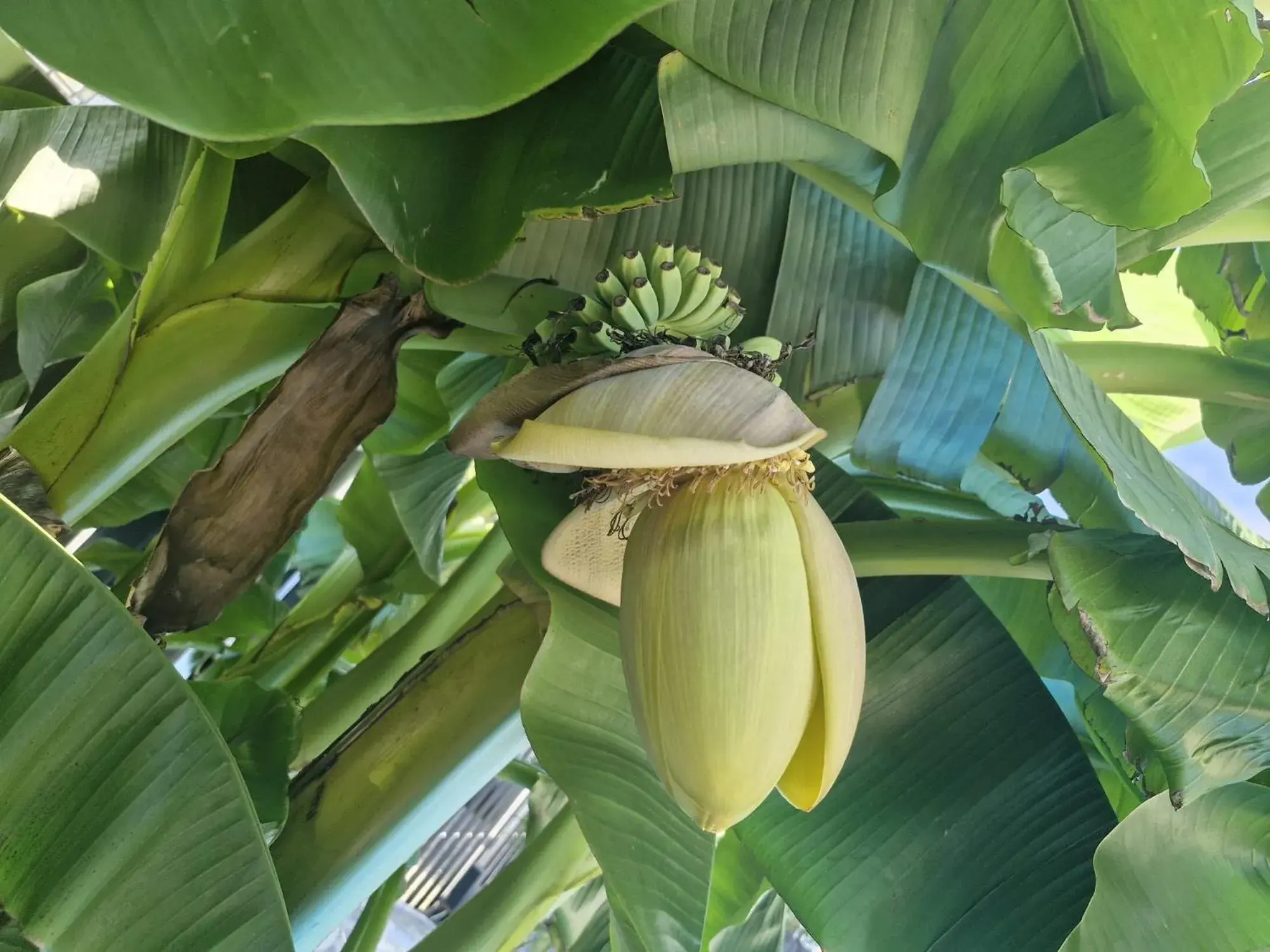 Swimming pool in Apartmenthaus Wertheim Swimming pool in Apartmenthaus Wertheim