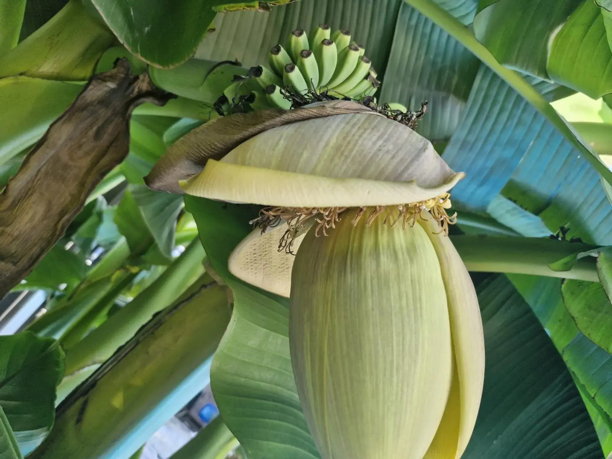 Swimming pool in Apartmenthaus Wertheim Swimming pool in Apartmenthaus Wertheim