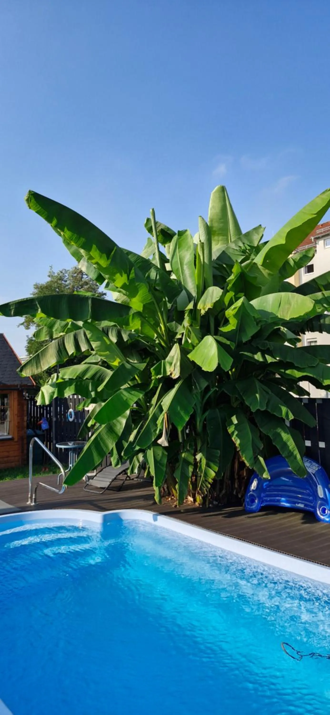 Pool view in Apartmenthaus Wertheim