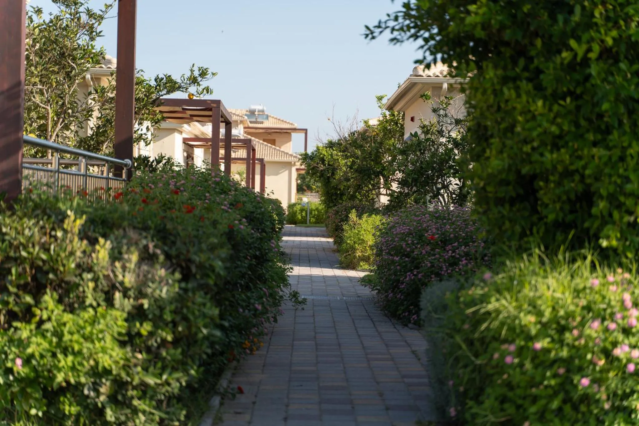Garden in Niriides Luxury Villas