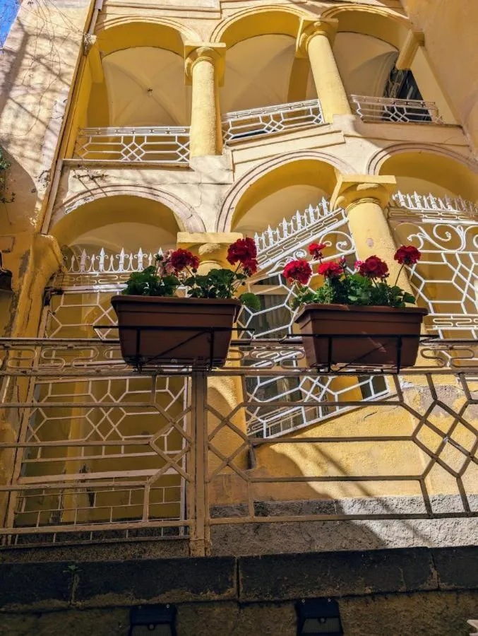 Nuovo Piccolo Gellia