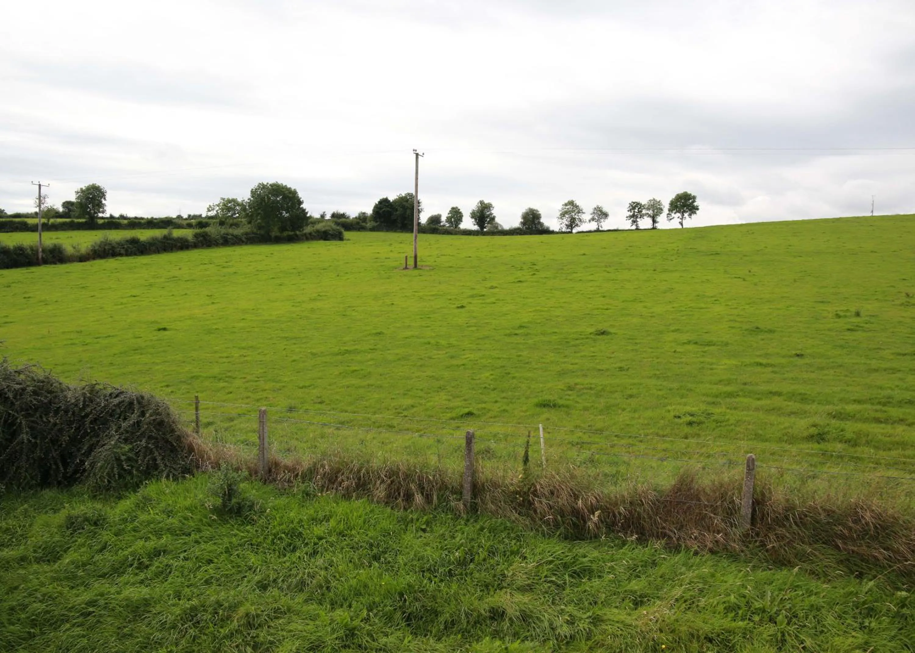 View (from property/room) in Grangeview House B&B