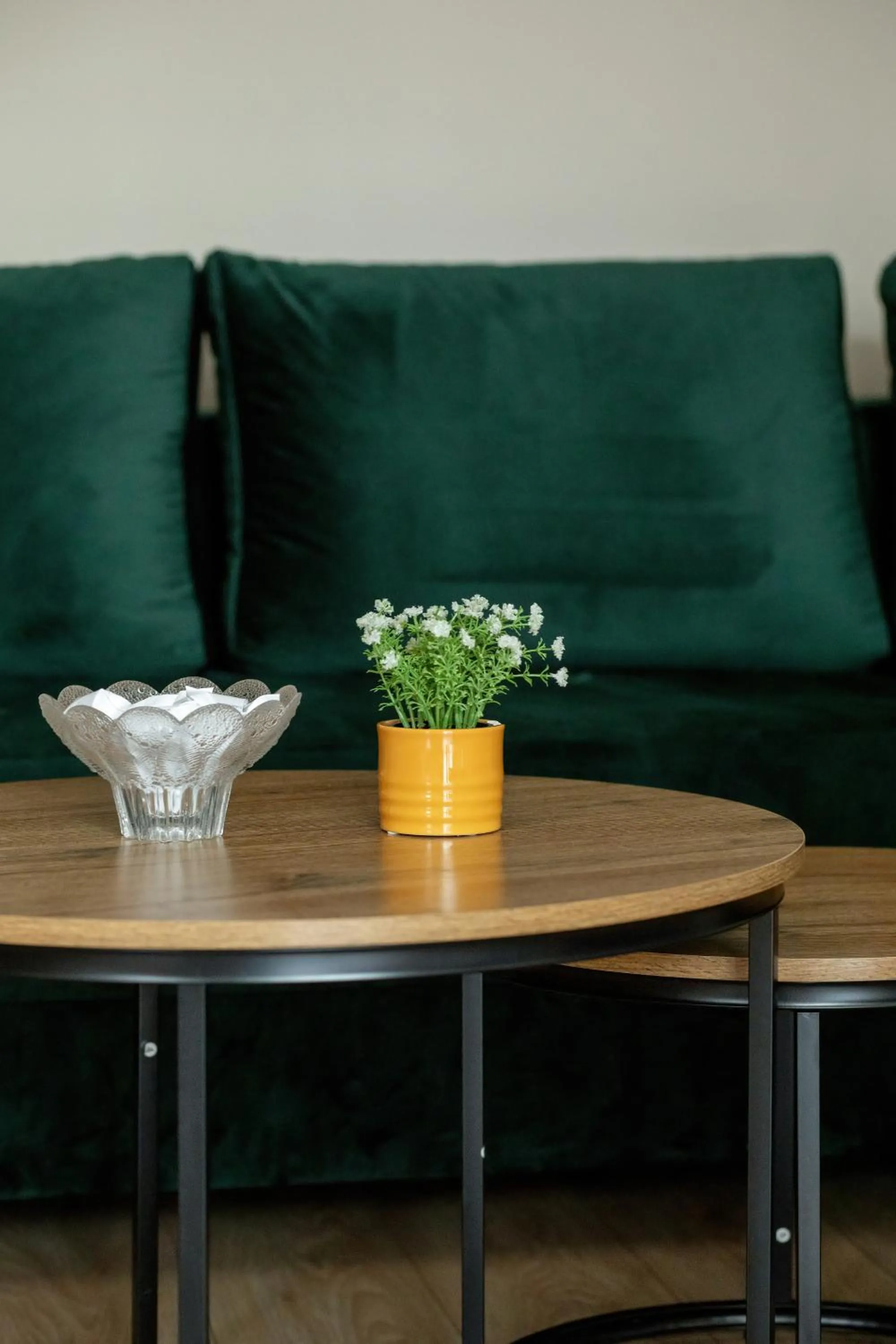 Living room in Apartamenty Żeromskiego 29 by Noclegi Renters