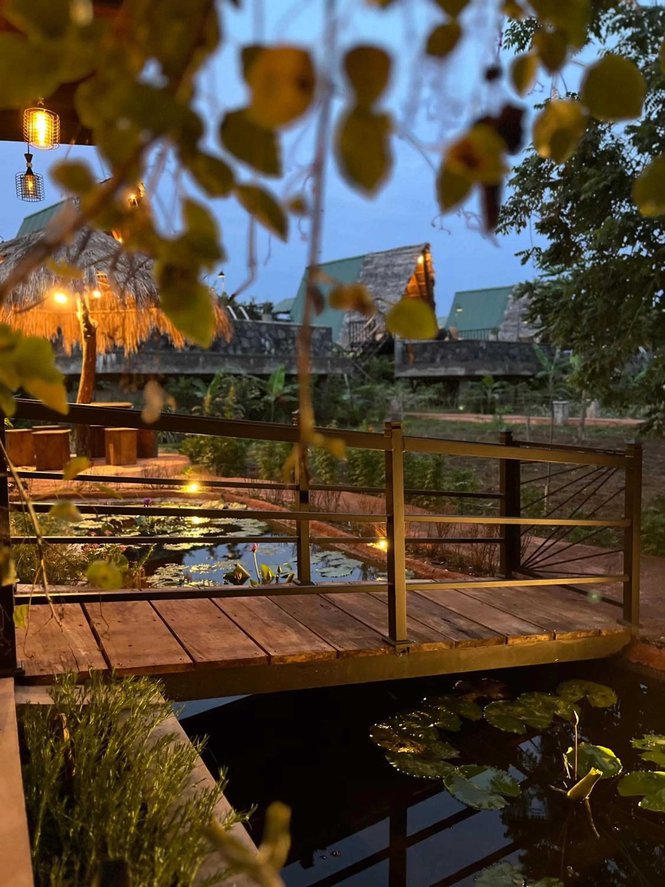 Habarana Tree House Ambasewana Resort